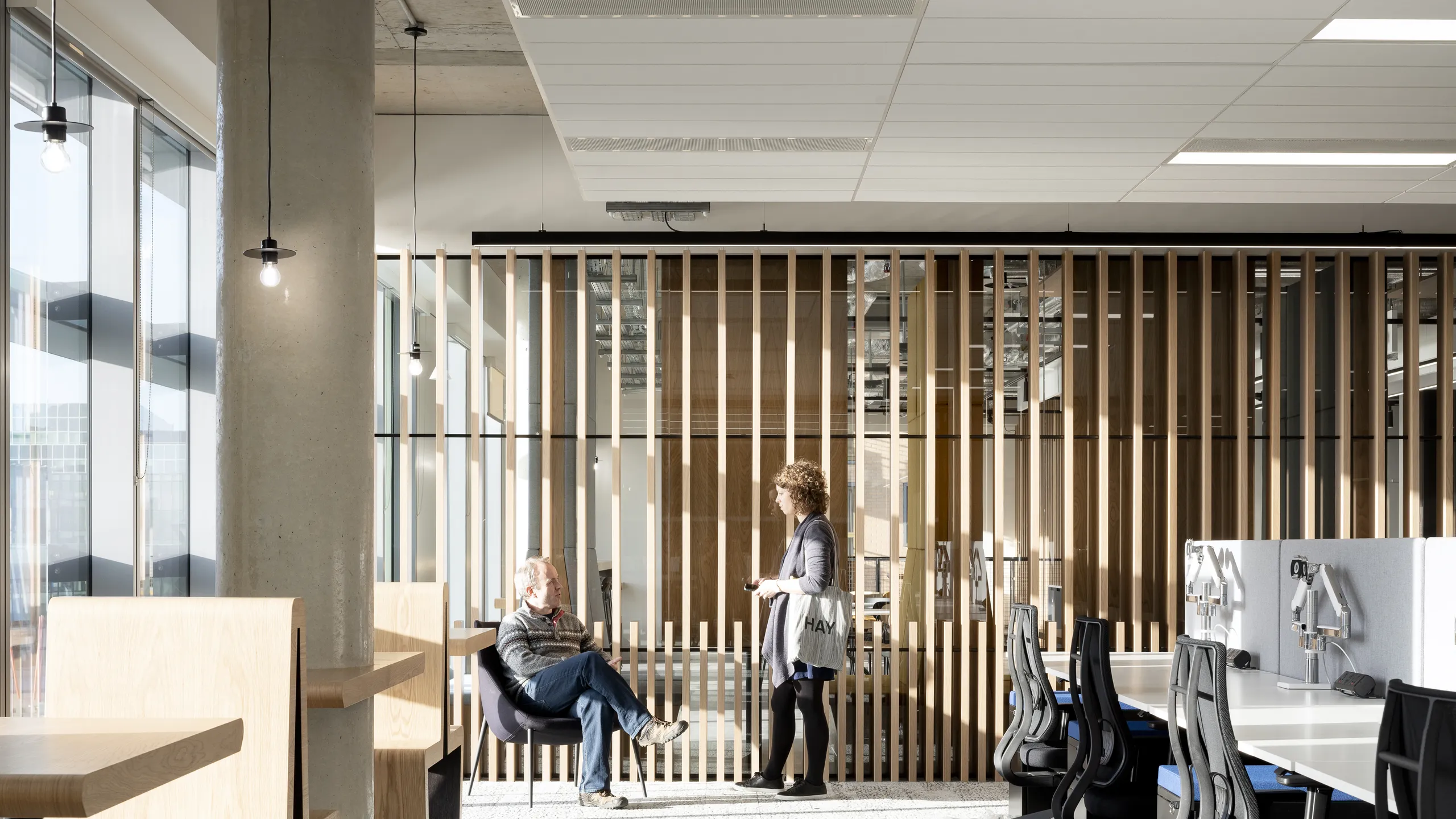 Office workspace with desks, seating areas, and a white acoustic ceiling system with integrated lighting above the interior.