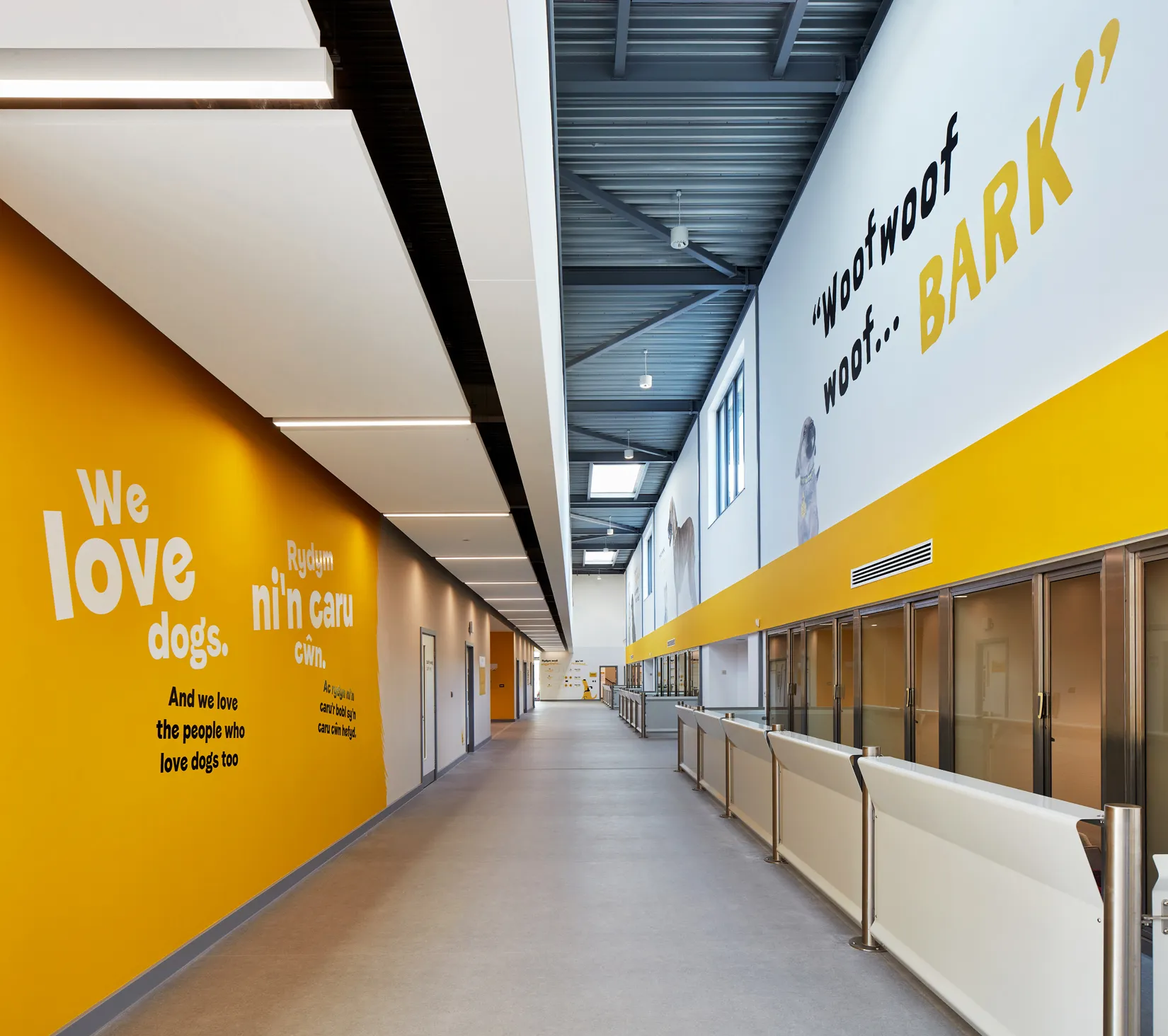 Dogs Trust Cardiff Centre, Powell Dobson | Case Studies