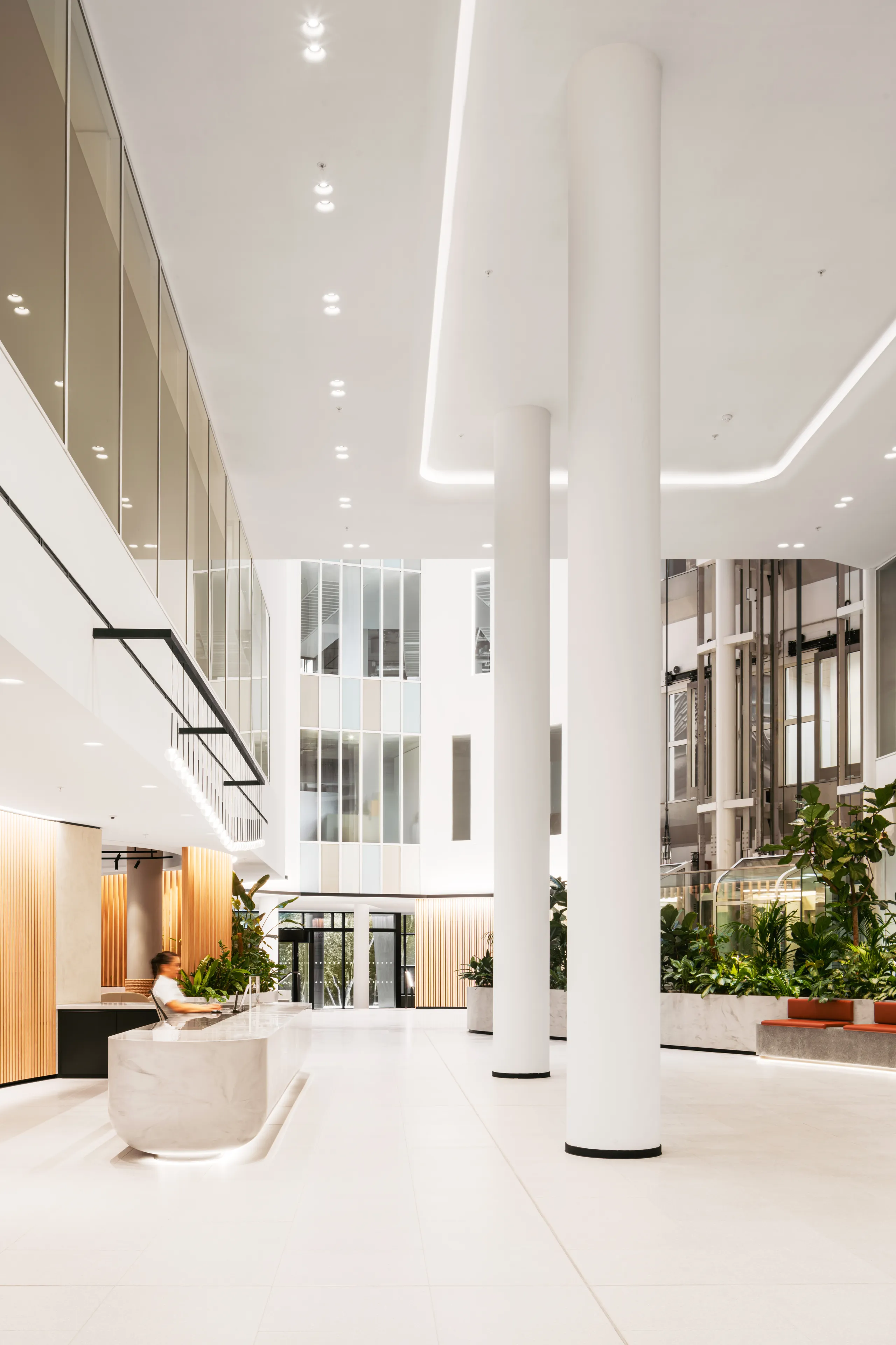 Bright reception atrium with a seamless monolithic acoustic ceiling, tall white columns, marble desk, and indoor planting