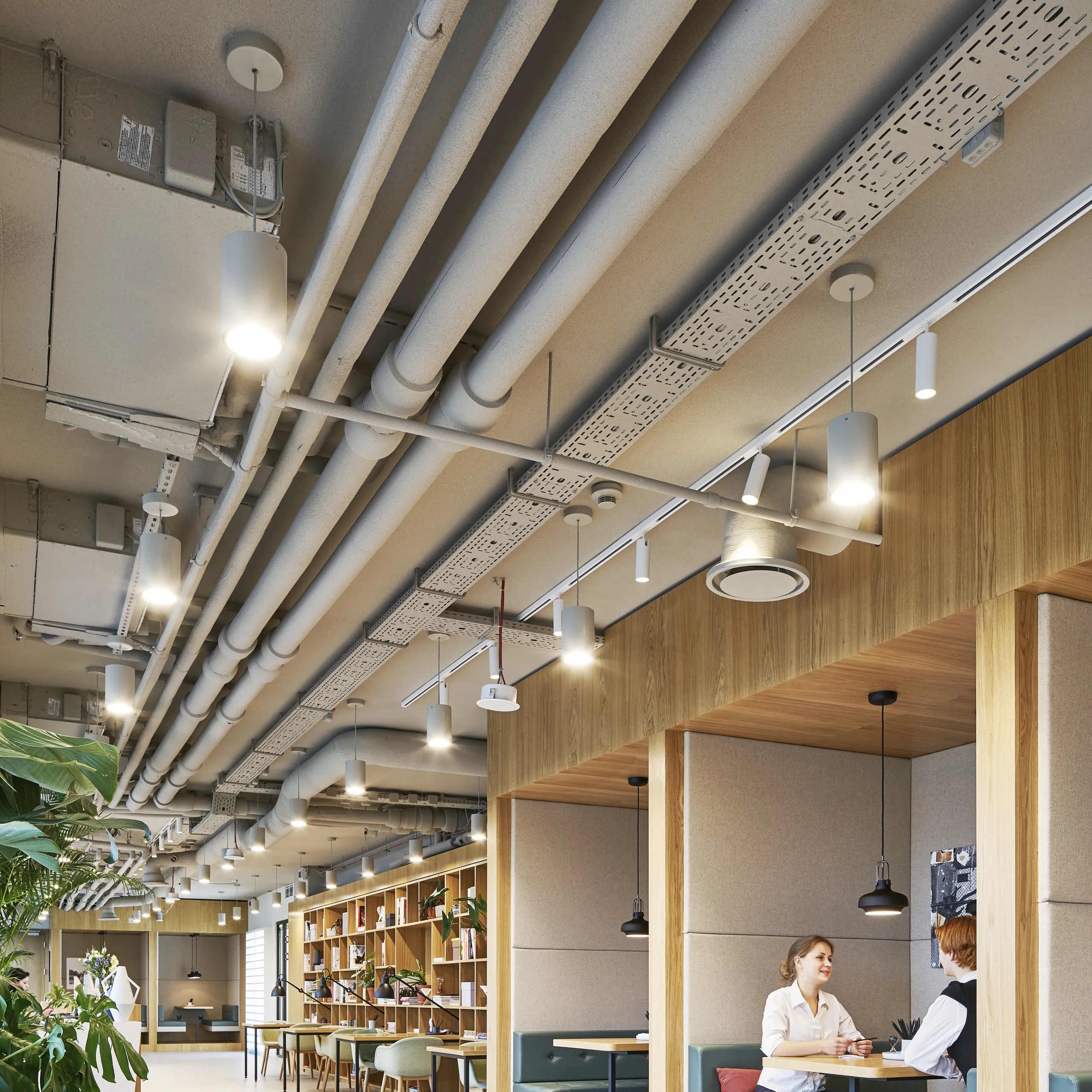 Workspace interior with a coloured monolithic acoustic ceiling and exposed mechanical services above wooden booth seating