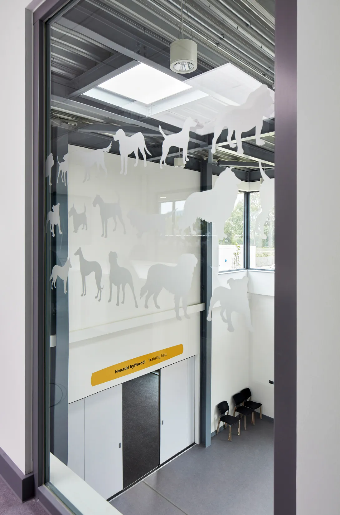 Dogs Trust Cardiff Centre, Powell Dobson | Case Studies