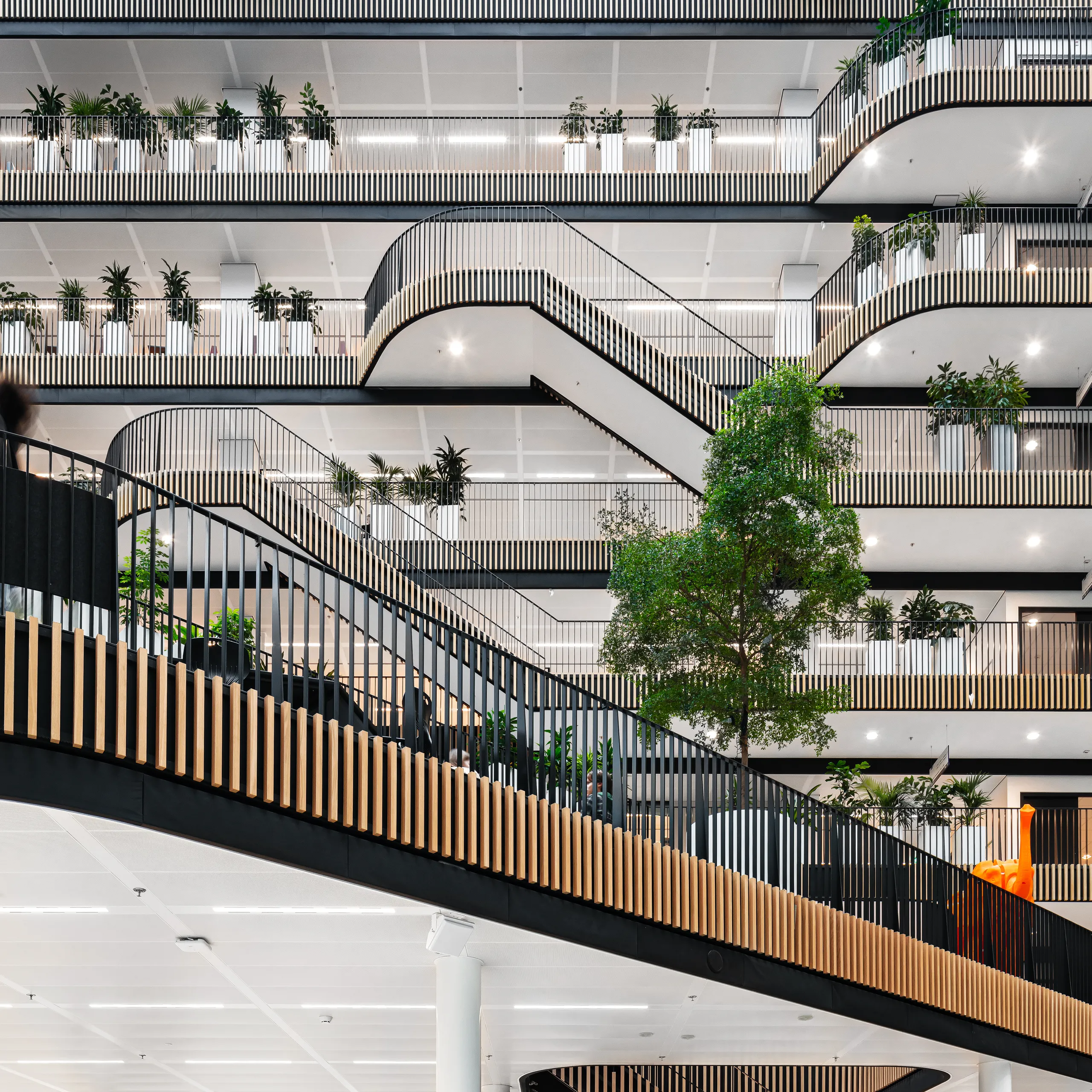 Jakoba Mulderhuis University Building, Amsterdam | Case Studies