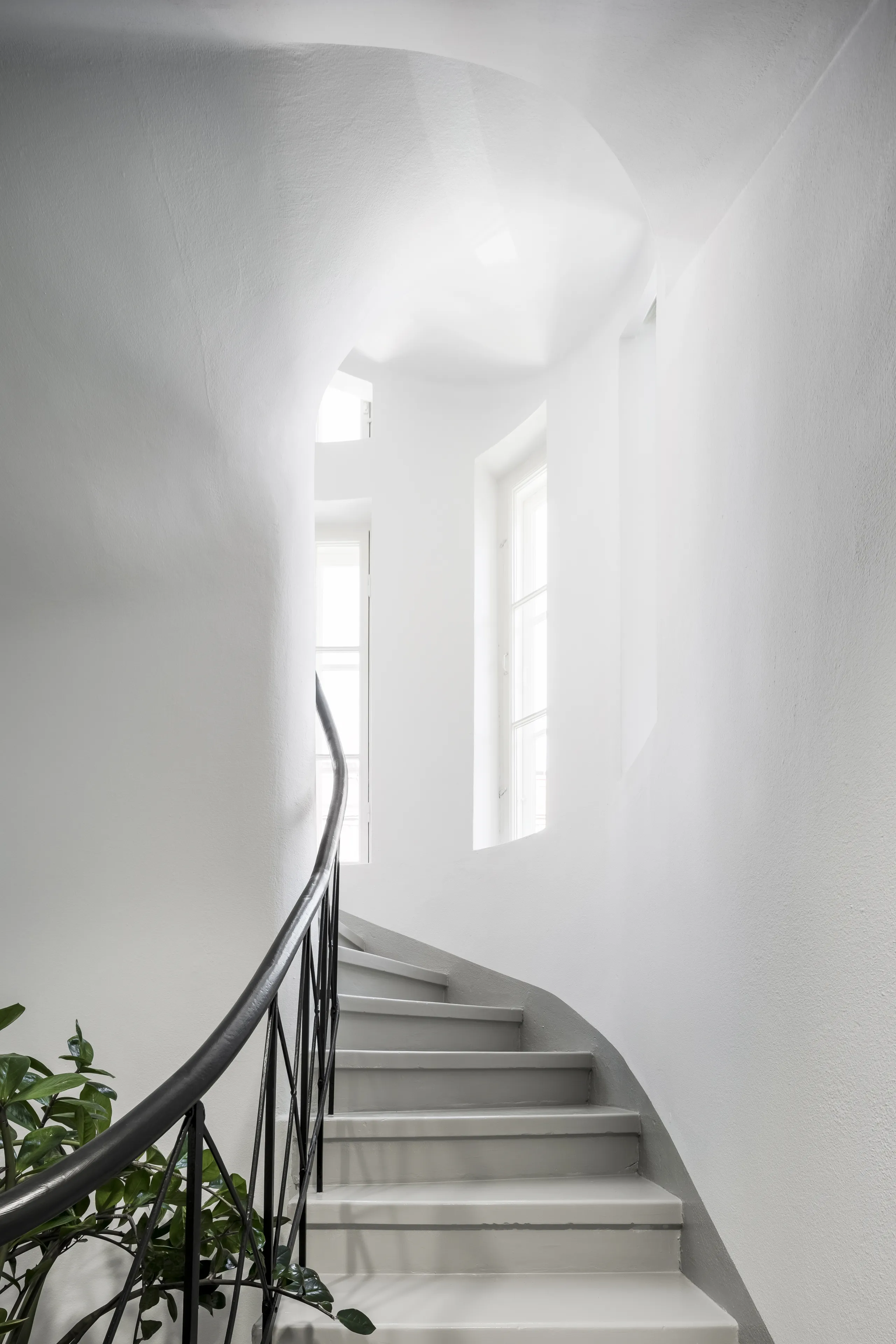 Seamless & Monolithic Acoustic Ceilings | Rockfon