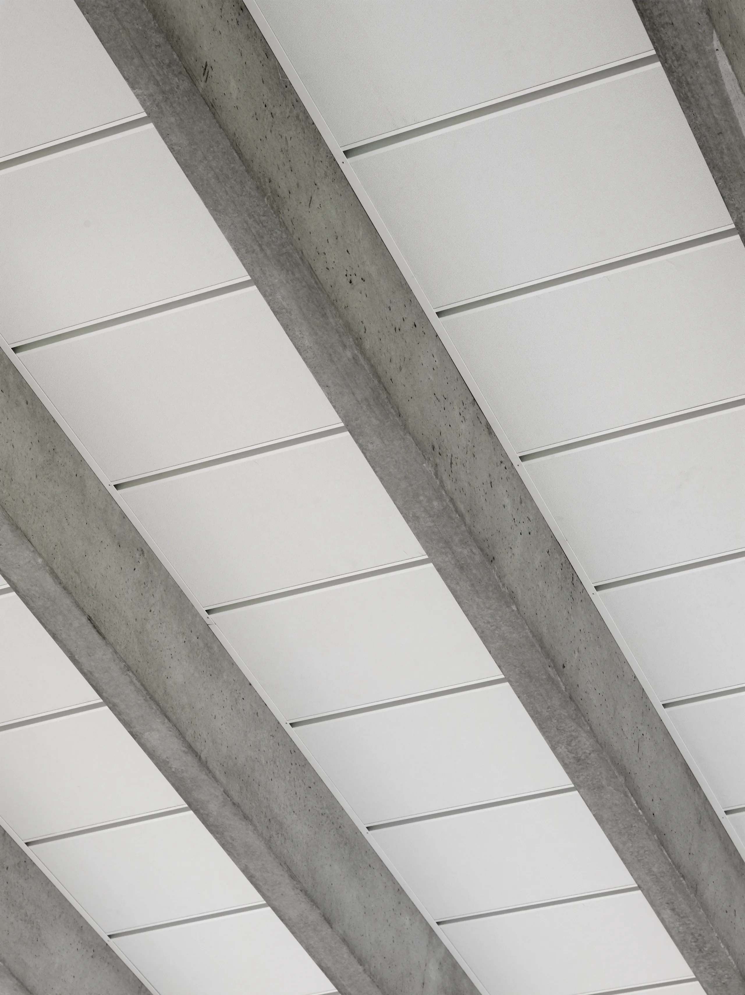 Acoustic Solutions for Gymnasiums | Rockfon