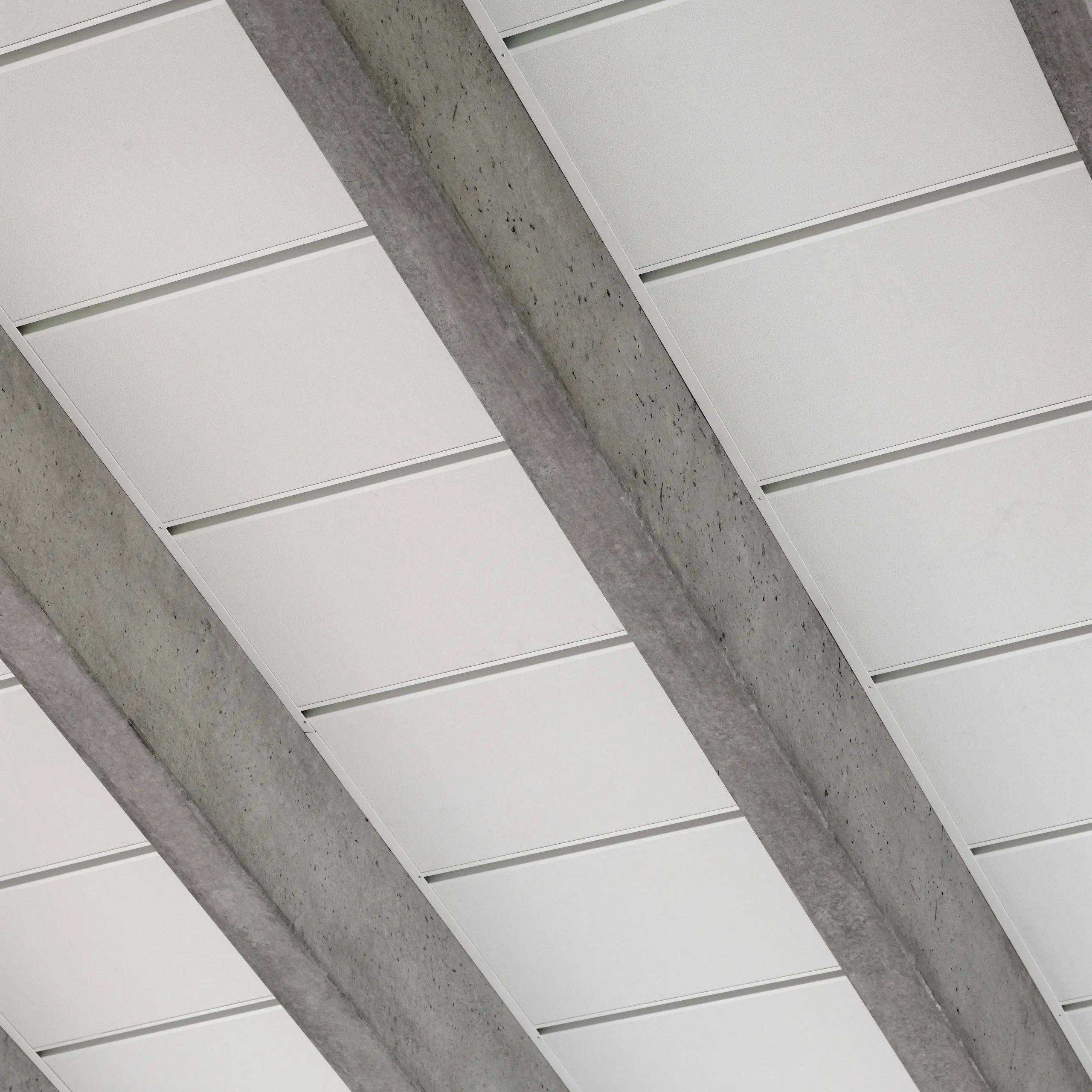 Rockfon® Samson | Impact Resistant Acoustic Ceiling Tiles