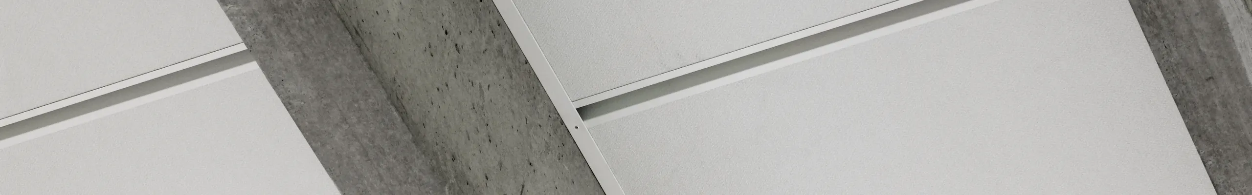 Acoustic Solutions for Gymnasiums | Rockfon