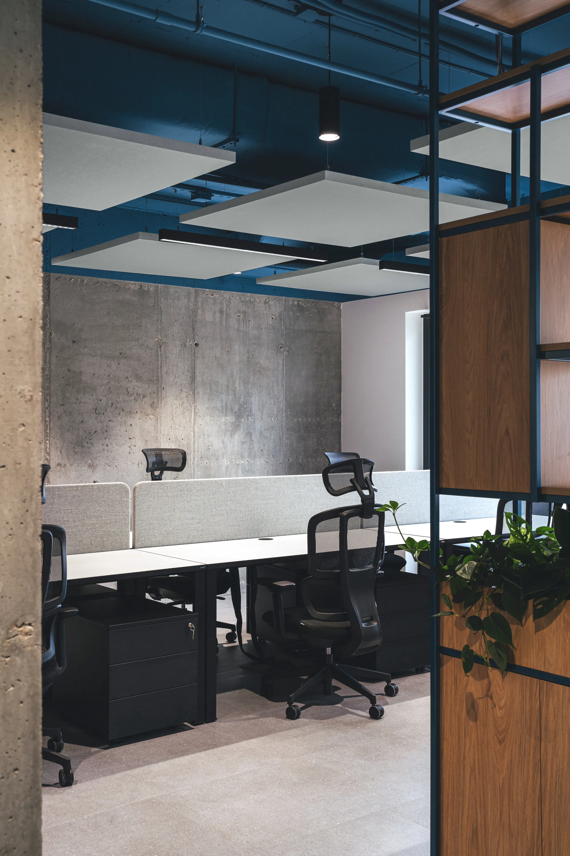 Open-plan office with suspended acoustic ceiling panels, exposed ductwork painted blue, concrete wall finish, and modern workstations with grey dividers