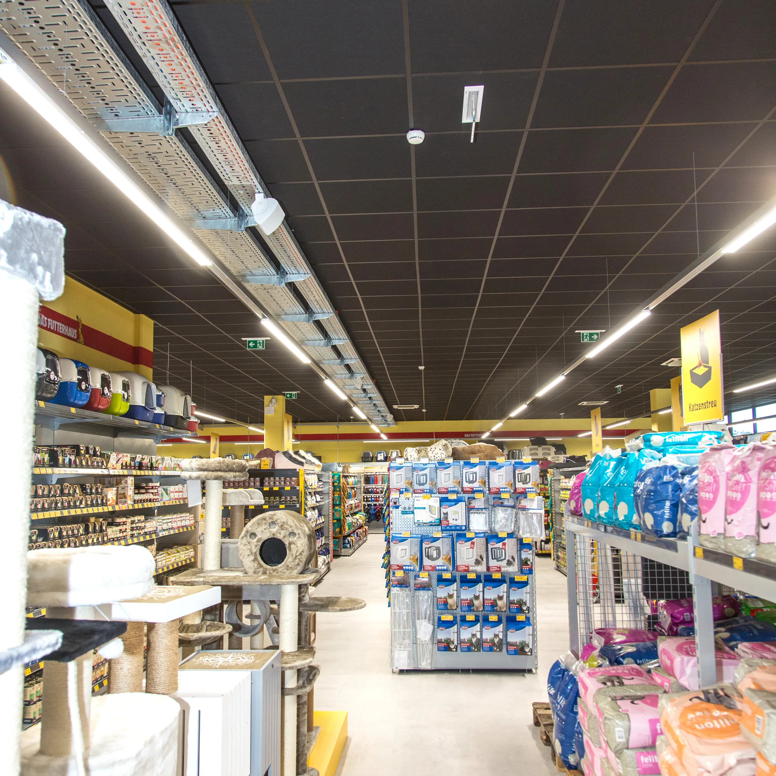 Pet supply store aisle with shelves of products and a black acoustic grid ceiling with integrated linear lighting above the retail space.