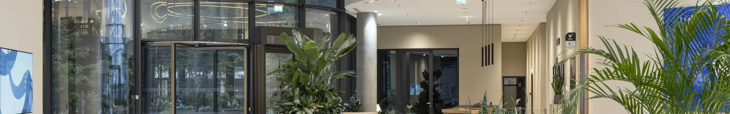 Elegant reception area with a smooth monolithic acoustic ceiling, suspended sculptural light installation, curved lounge seating, and abundant indoor planting