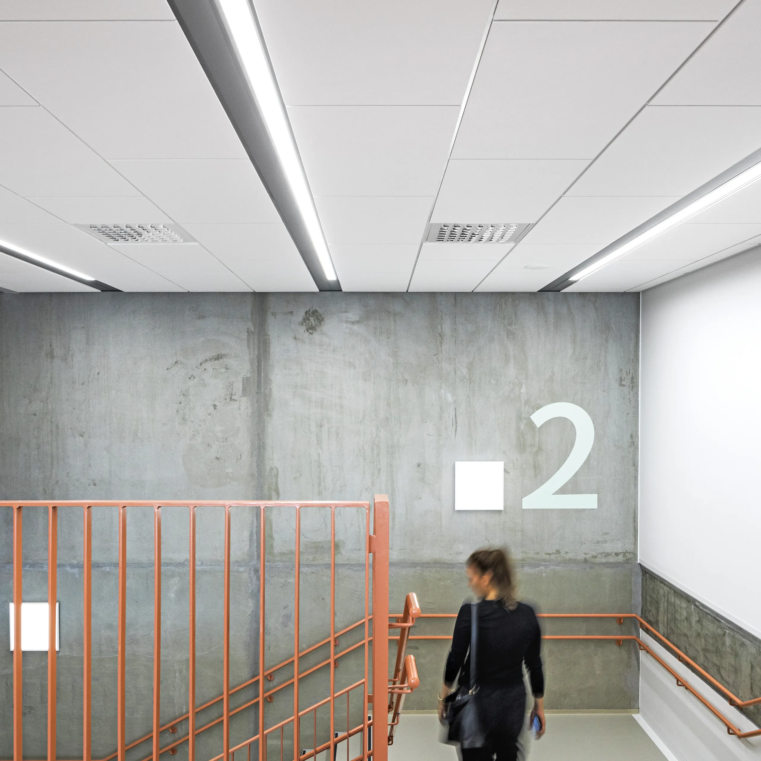 Rockfon® Koral | Textured White Acoustic Ceiling Tiles