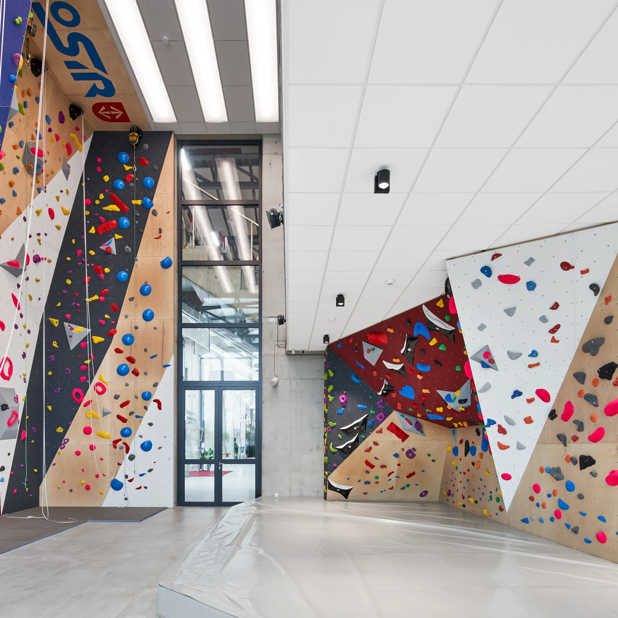 A vibrant indoor climbing and bouldering area featuring colourful geometric climbing walls and a white acoustic ceiling tile grid that helps control sound in the high-energy space.