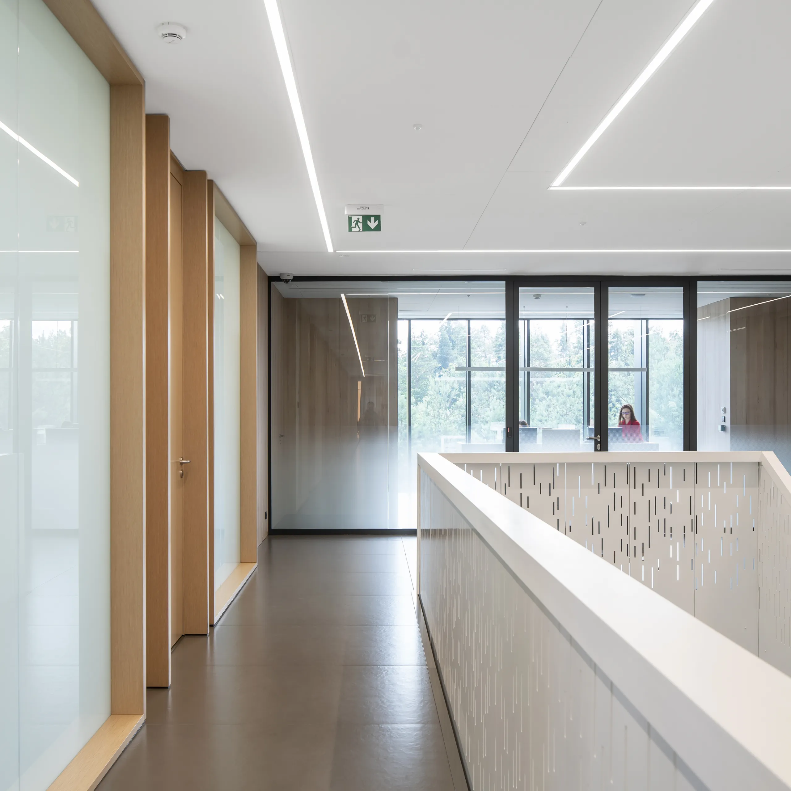 Rockfon Blanka® | Ultra-White Ultra-Matte Acoustic Ceiling Tiles