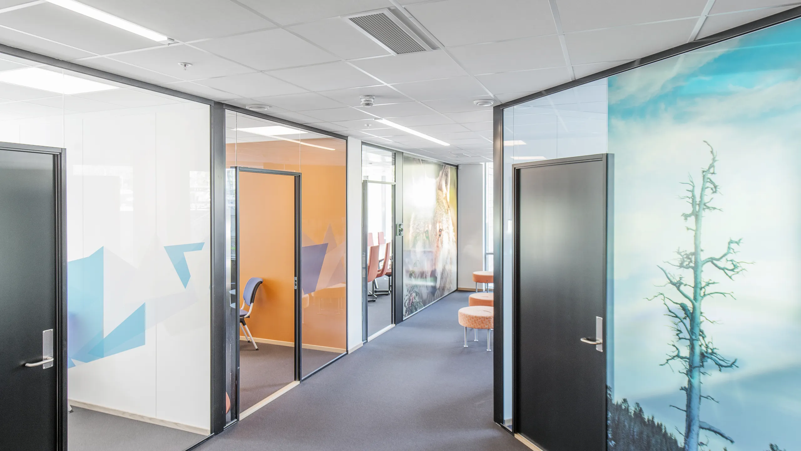Office corridor with white acoustic ceiling tiles, glass meeting rooms, and wall graphics adding colour along the hallway.