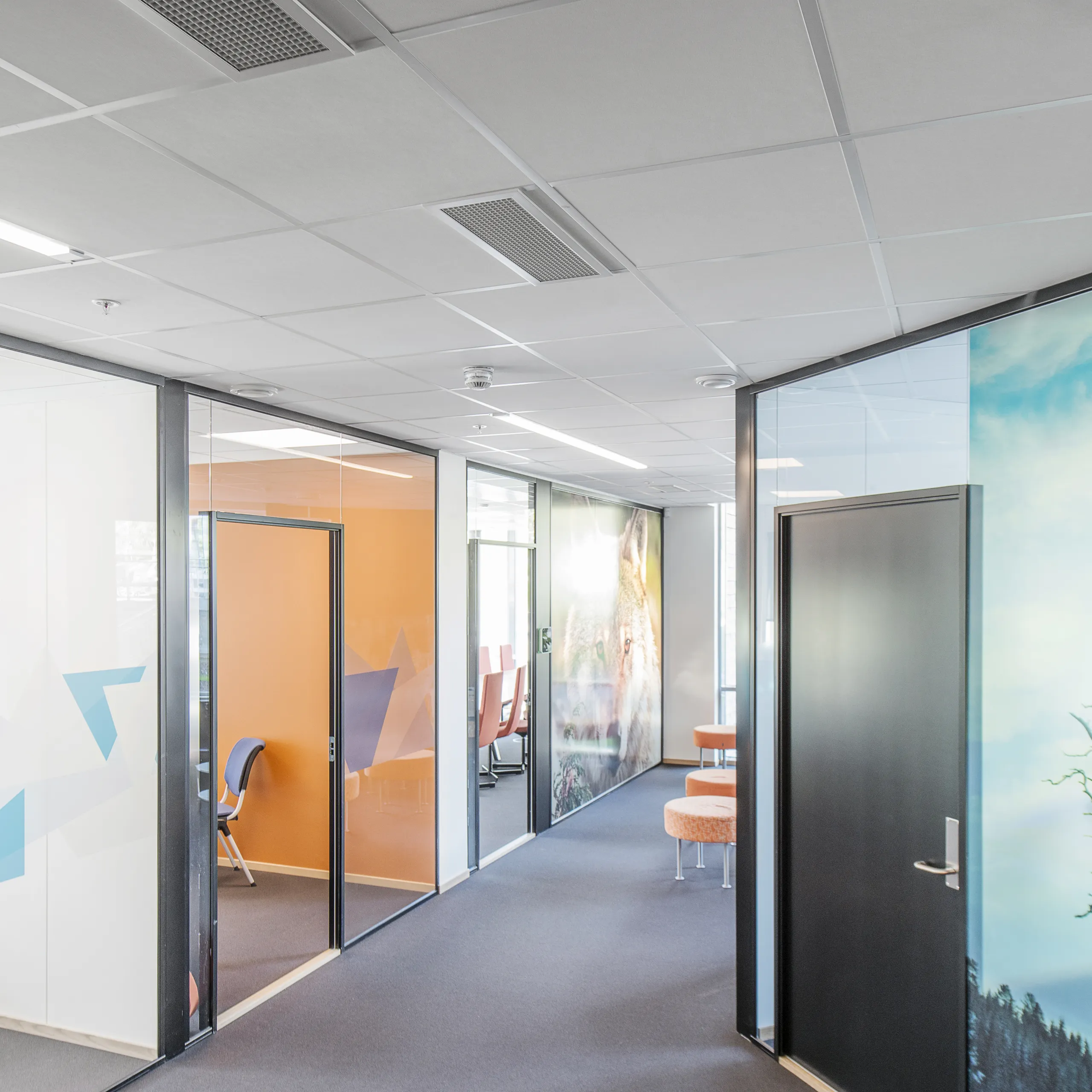 Rockfon Blanka® dB 43 | Sound Insulating Acoustic Ceiling Tiles