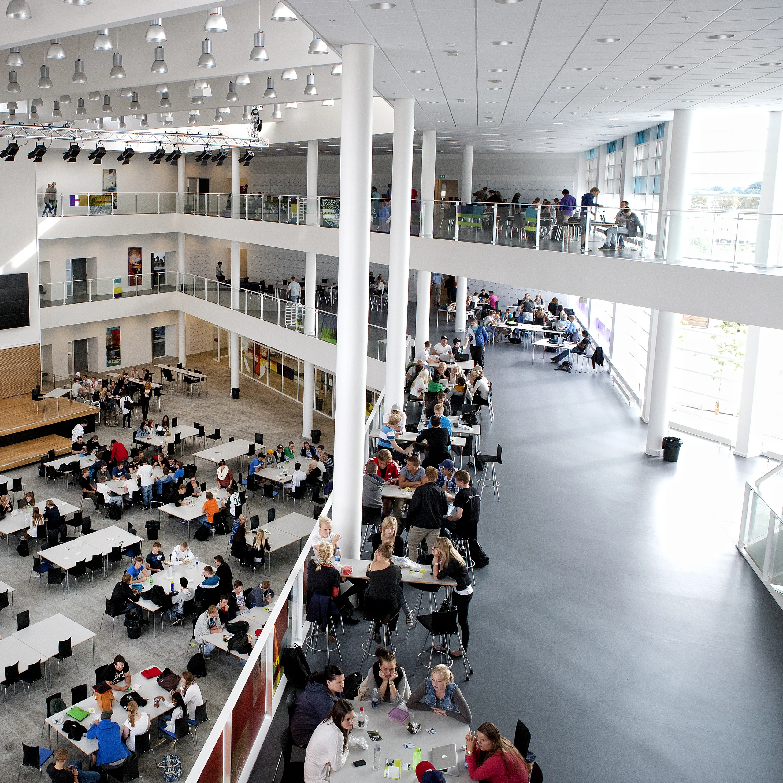 Close-up view of Rockfon acoustic ceiling tiles.