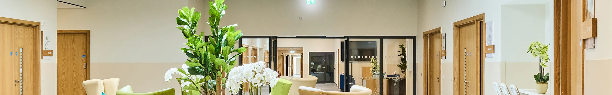 A bright healthcare lounge with soft seating arranged beneath a large circular skylight, featuring a smooth acoustic ceiling that supports a calm, low-noise environment. Light wood doors, indoor plants, and neutral finishes create a welcoming, restorative space.