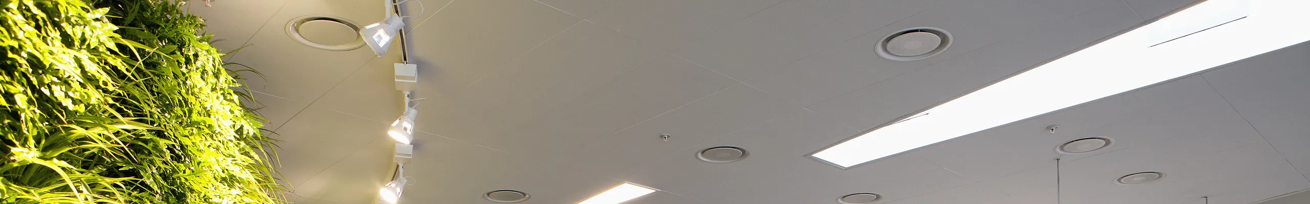 Acoustic Solutions for Hospital & Clinic Reception Areas | Rockfon