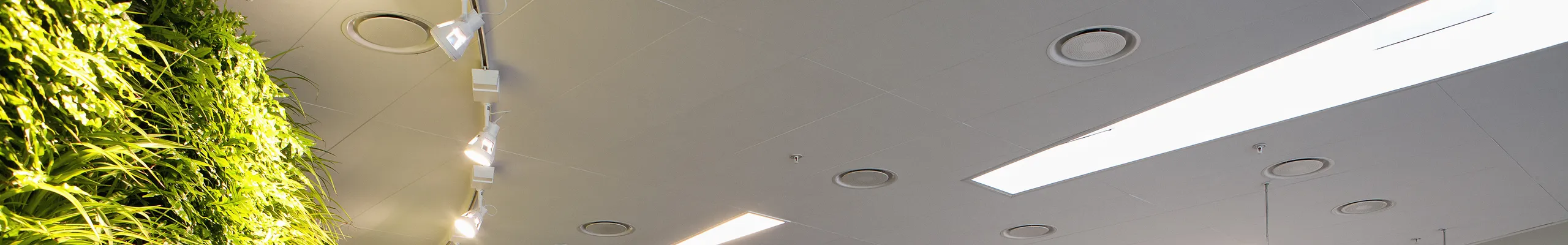 Acoustic Solutions for Nurses Stations | Rockfon