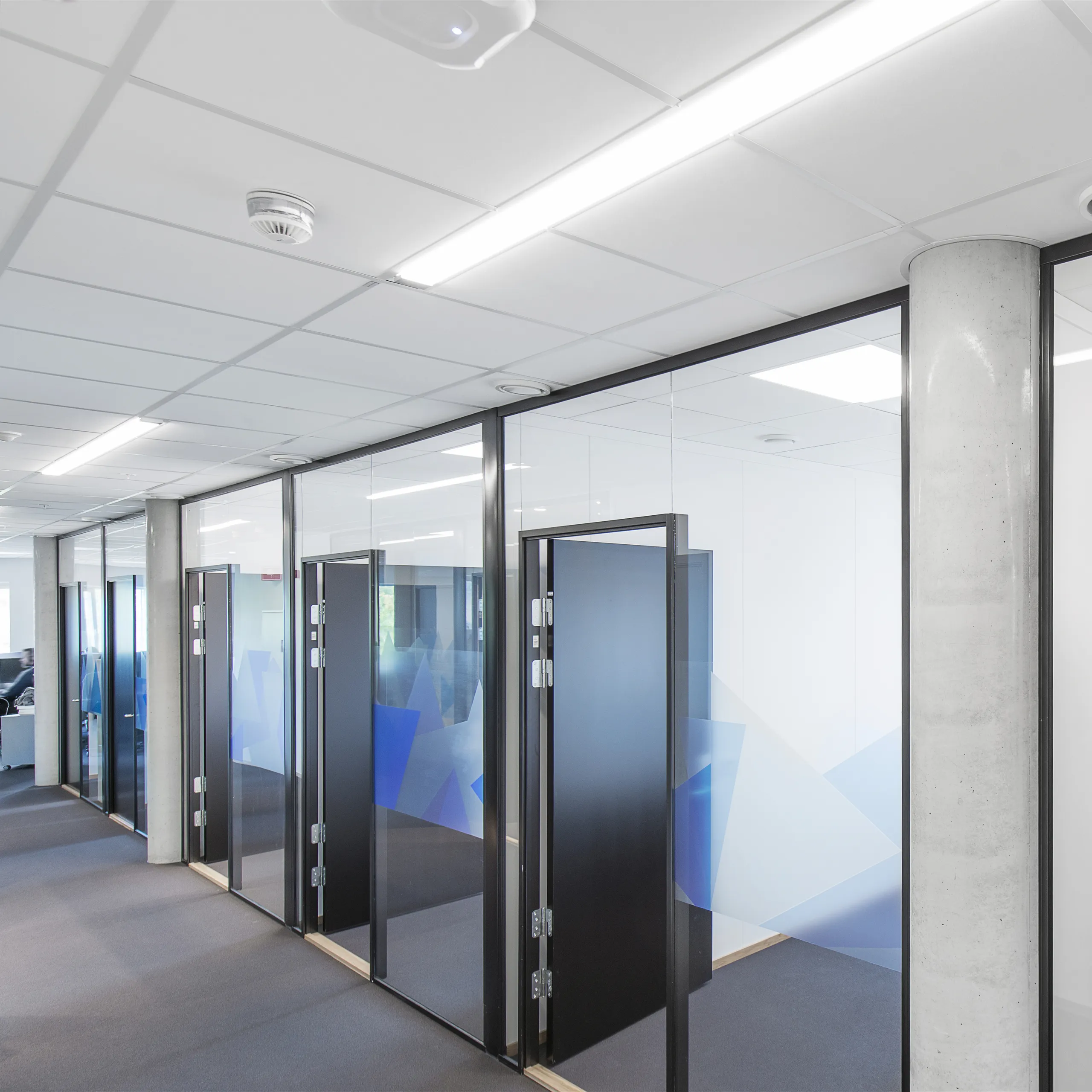 Rockfon Blanka® dB 46 | Sound Insulating Acoustic Ceiling Tiles