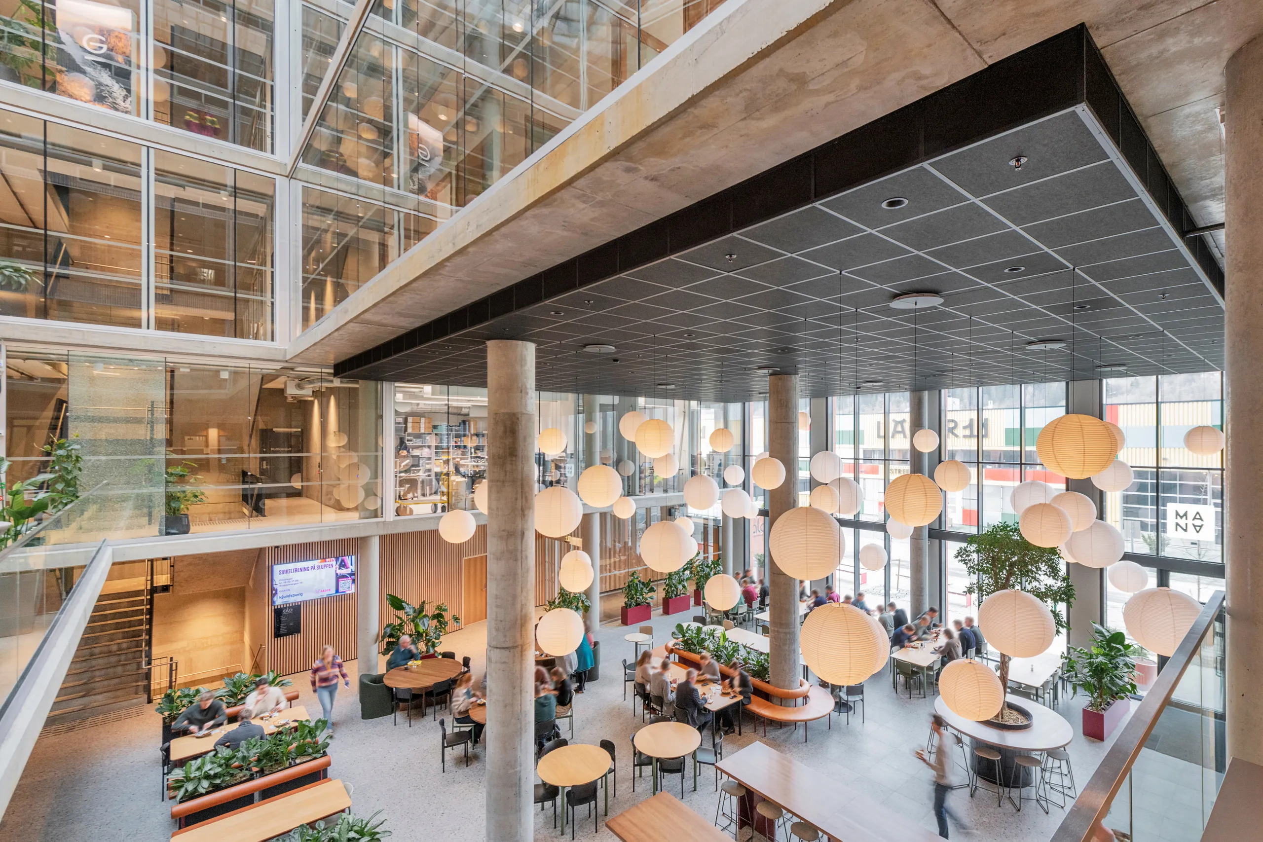 Office atrium with seating areas, pendant globe lighting, and a black acoustic grid ceiling installed beneath a mezzanine level.
