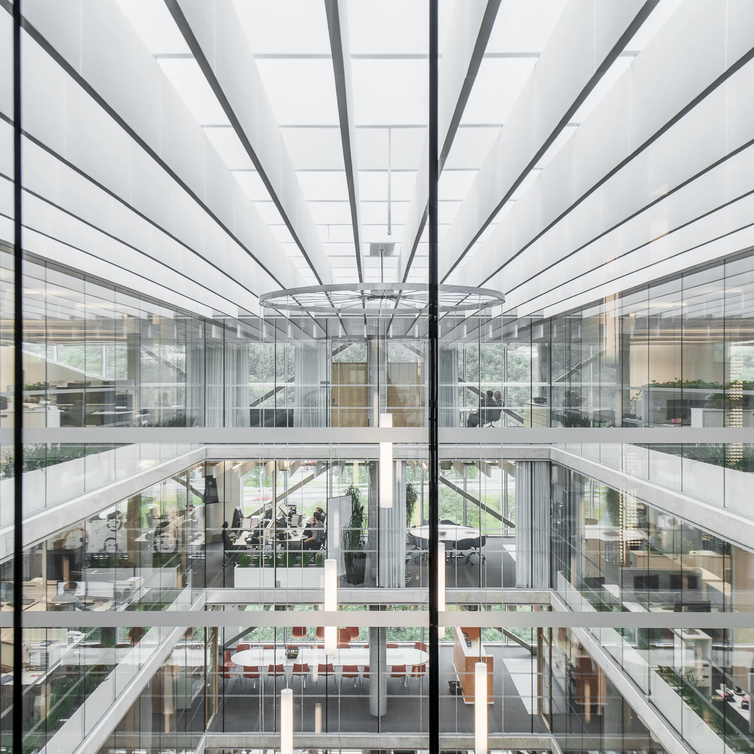 Acoustic Ceiling Baffles | Rockfon