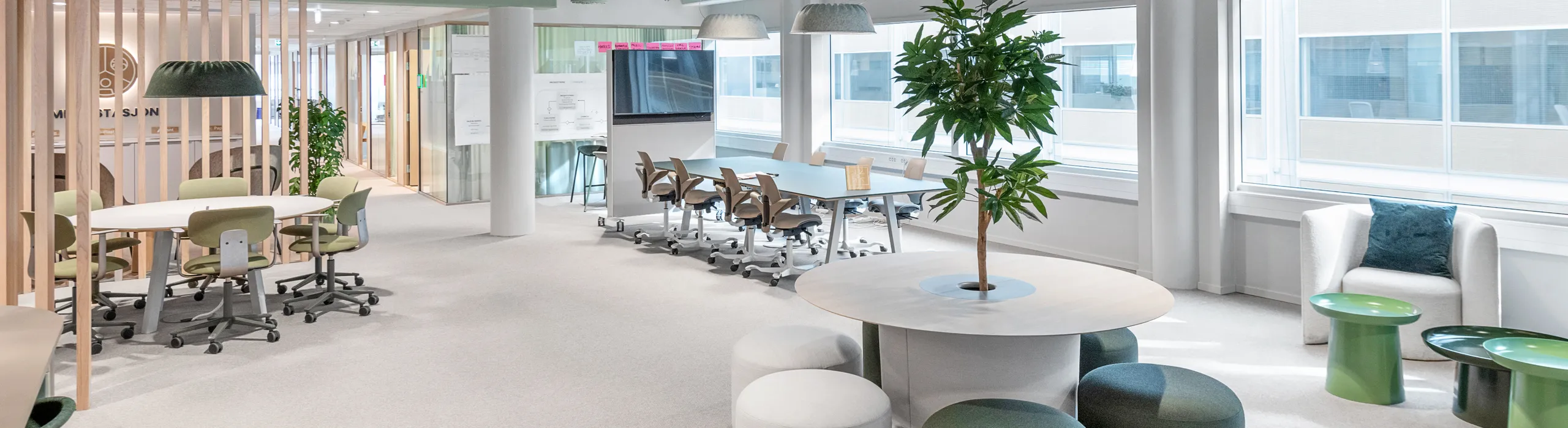 Open office space with green coloured acoustic ceiling panels, exposed ductwork, flexible workstations, and soft seating areas