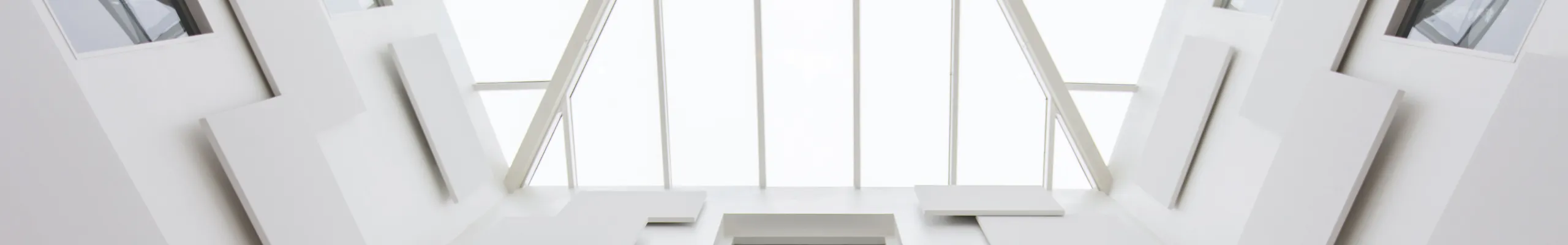 Private Office Acoustic Solutions| Rockfon