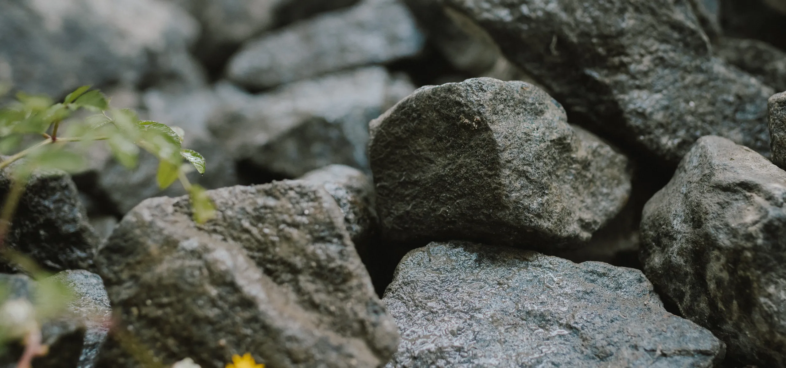 The Sustainability of Stone Wool | Rockfon