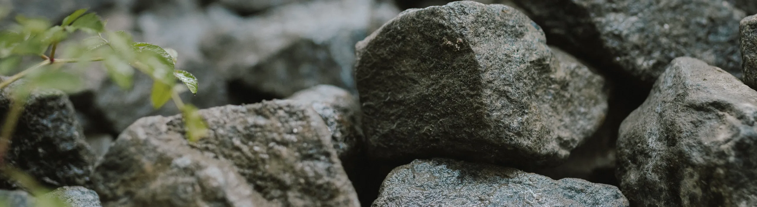 The Sustainability of Stone Wool | Rockfon