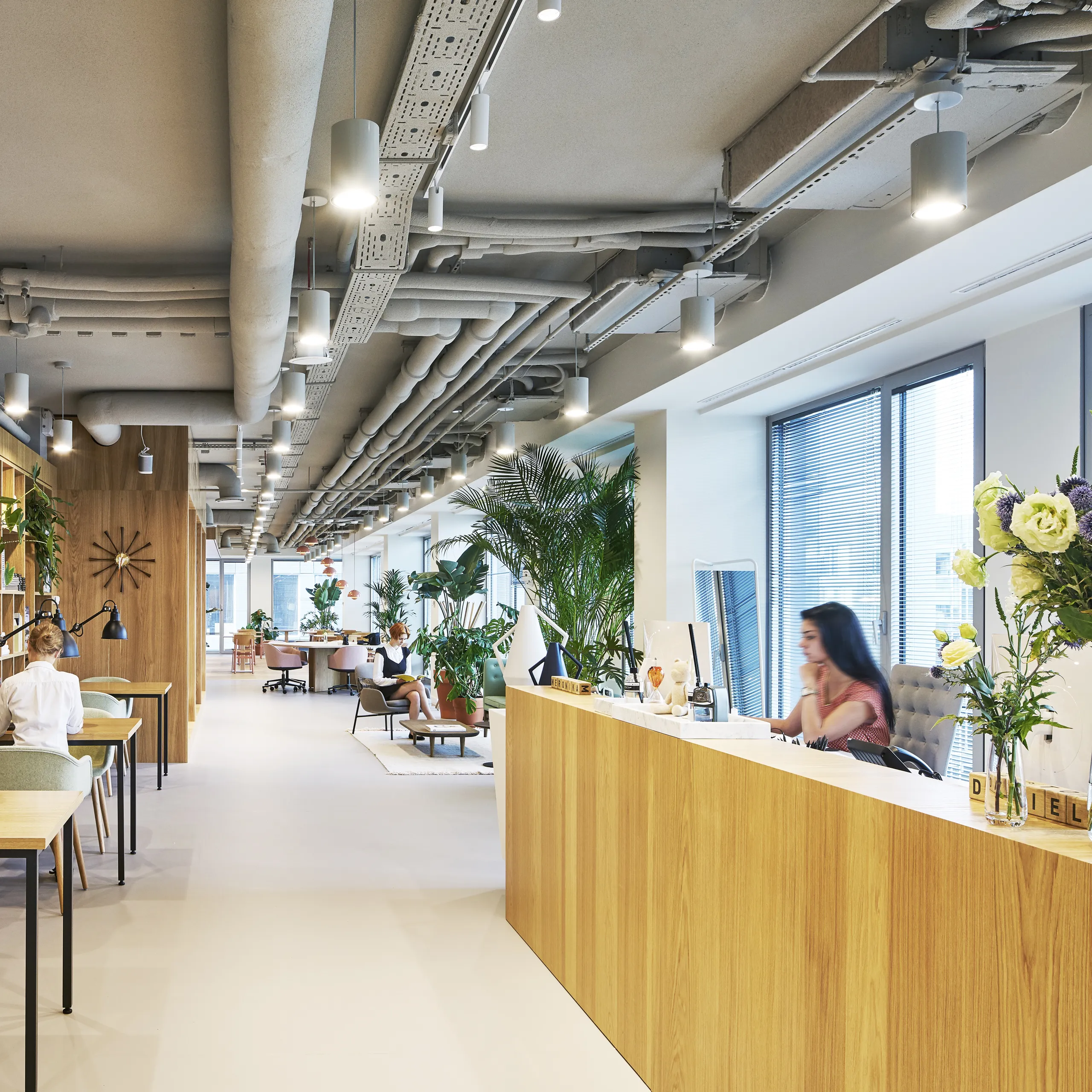 Open office reception featuring a seamless coloured monolithic acoustic ceiling, timber shelving, warm wood finishes, and greenery throughout the workspace