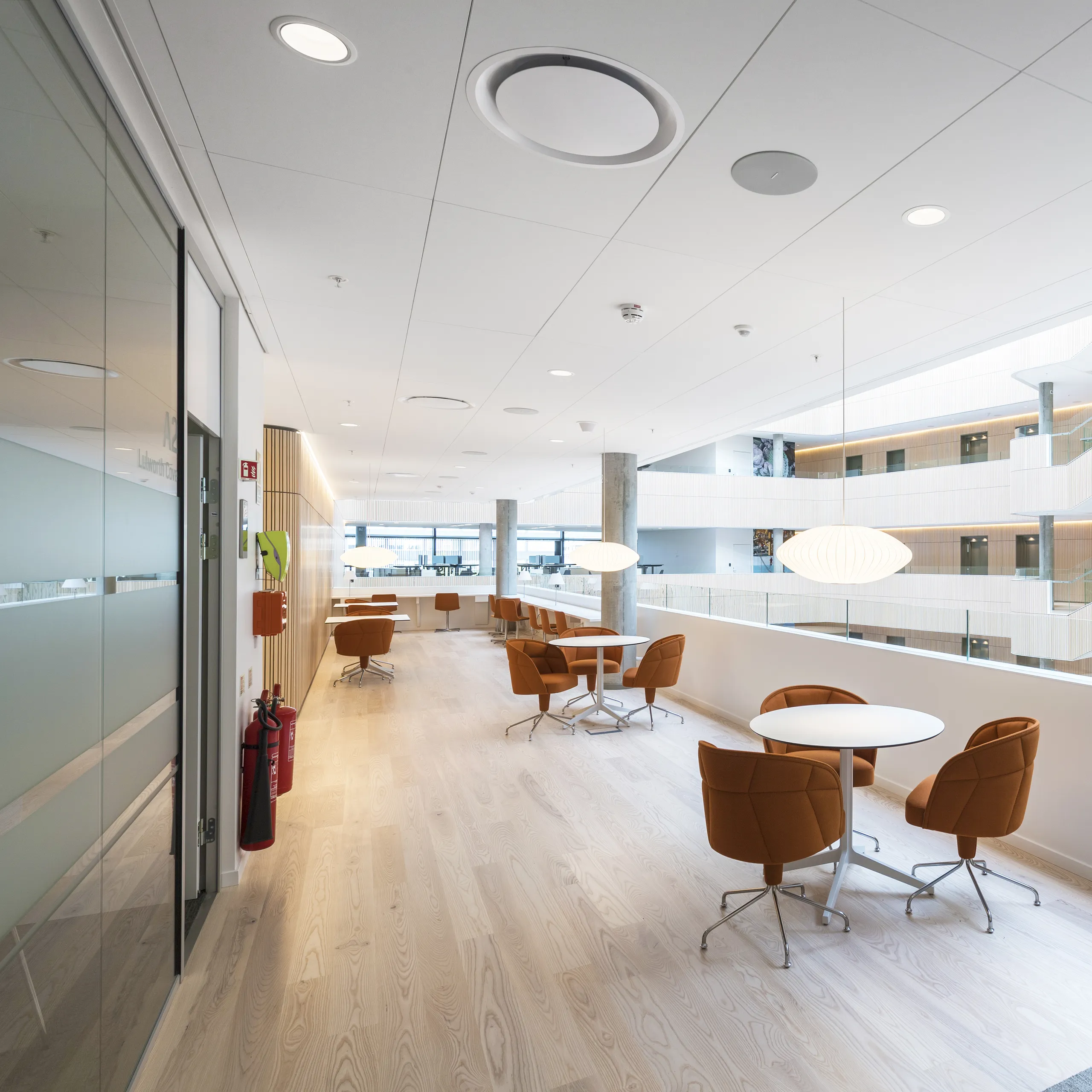 Rockfon Blanka® | Ultra-White Ultra-Matte Acoustic Ceiling Tiles