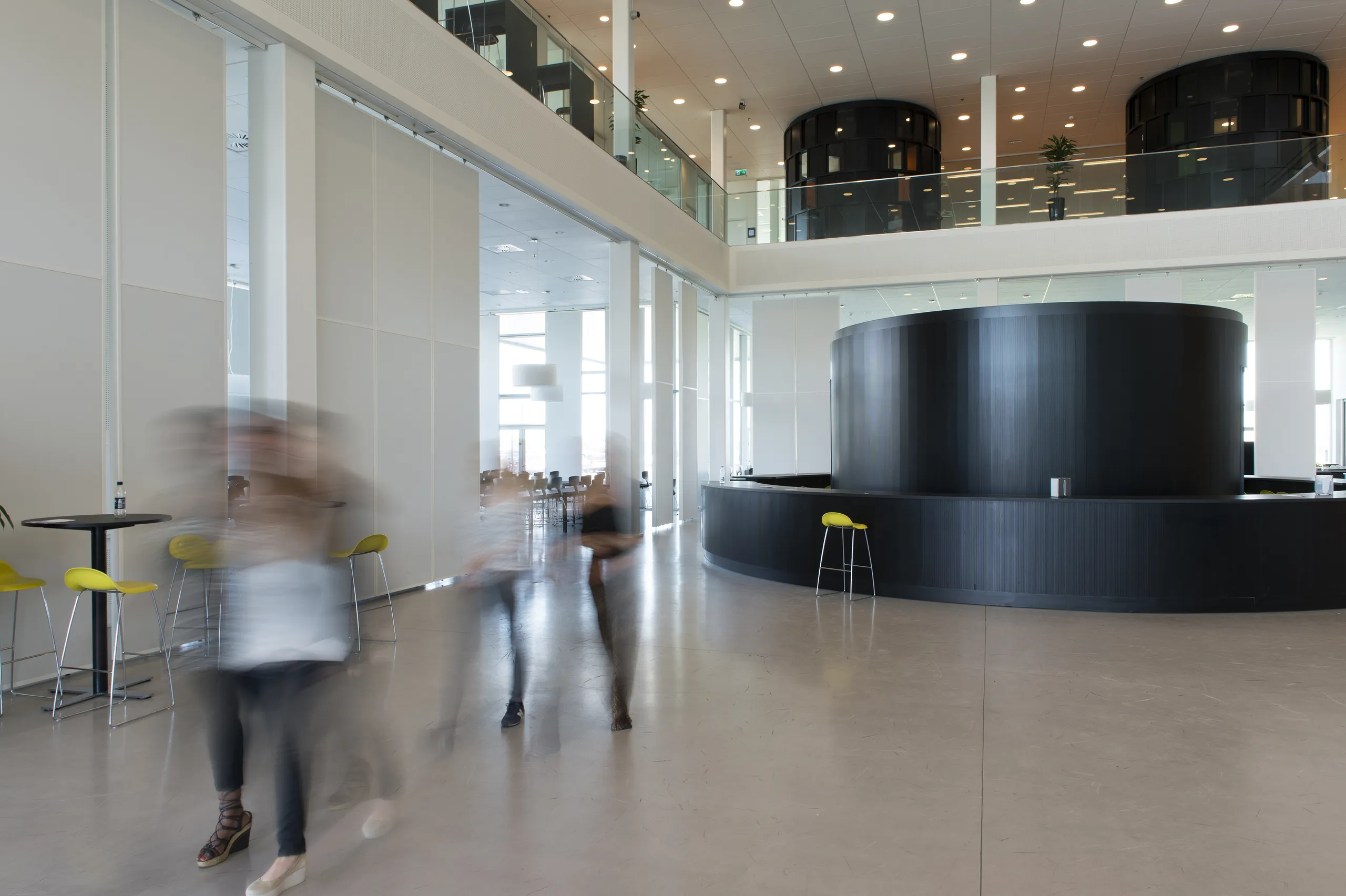 Acoustic Solutions for Gymnasiums | Rockfon