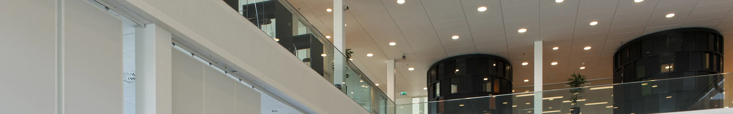 Acoustic Solutions for Gymnasiums | Rockfon