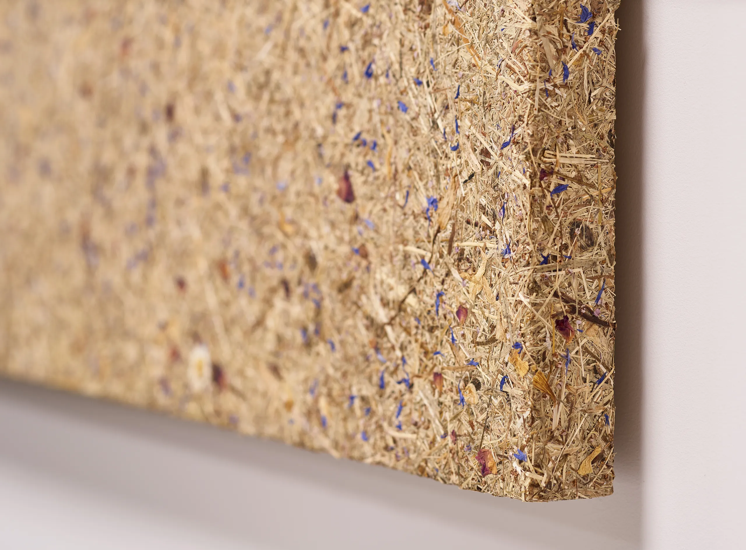 Rockfon Senses wall panels installed to bring biophilic textures and acoustic control to an enclosed office