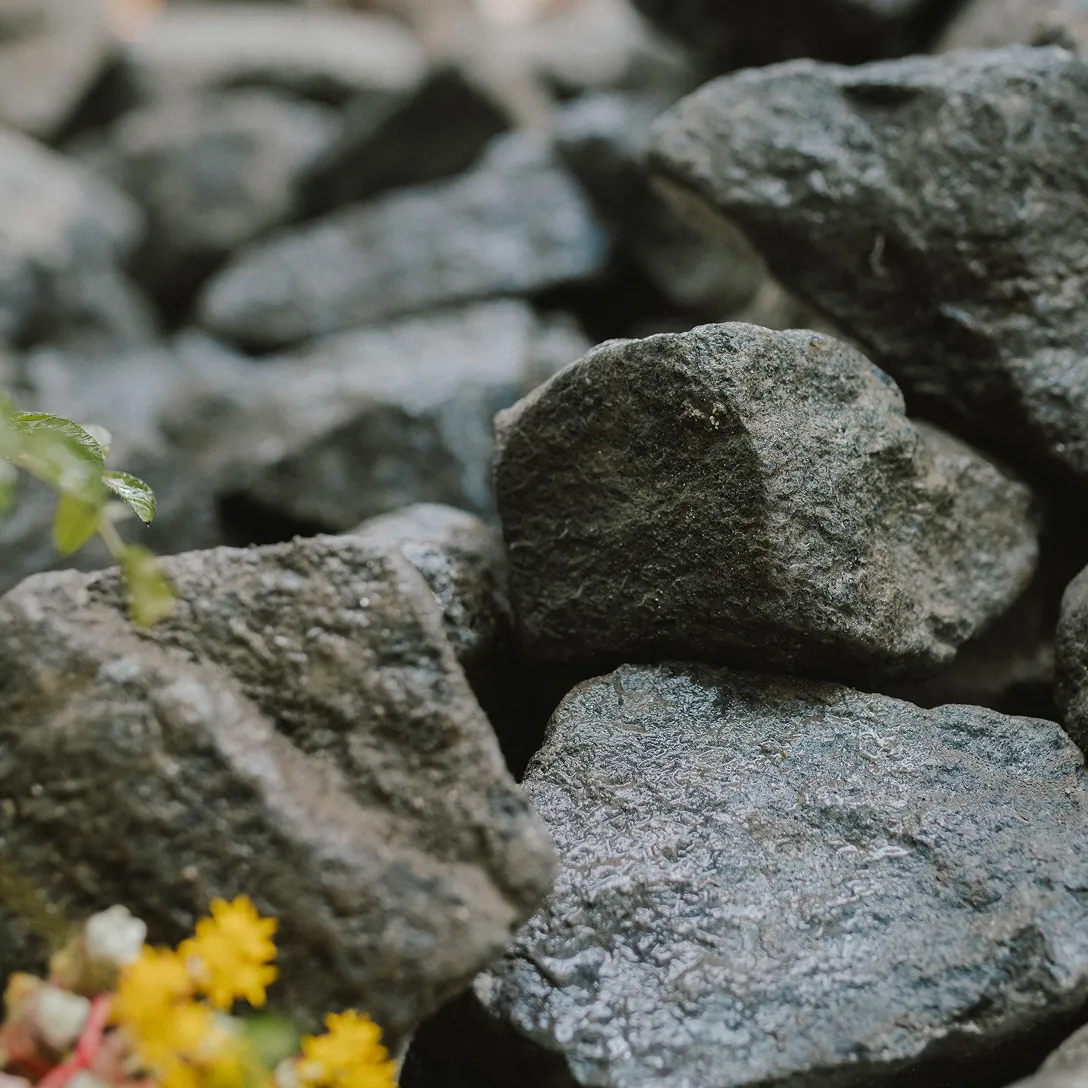 Advancing Sustainable Acoustic Design | Rockfon