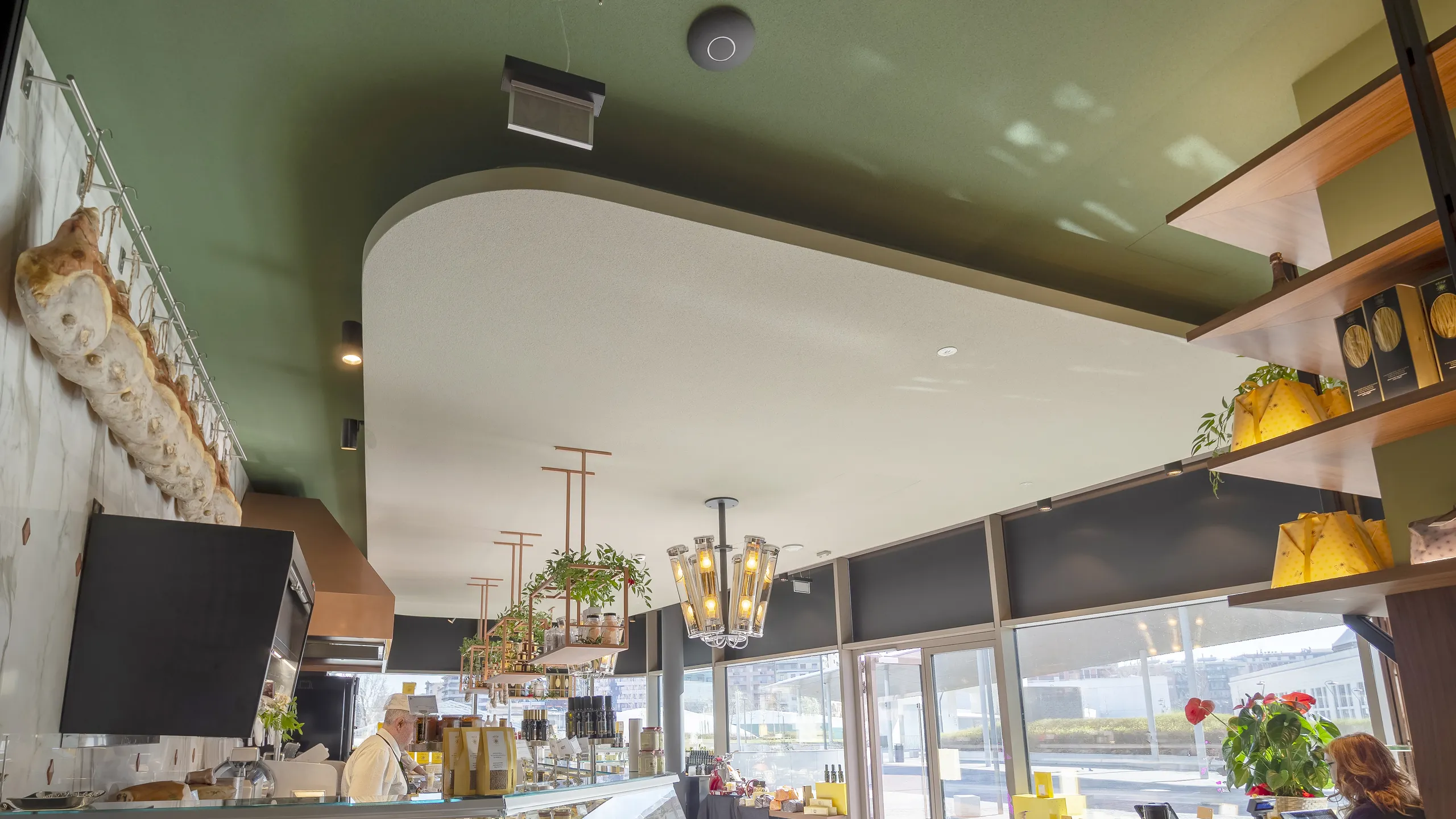 Modern café interior with green ceiling, hanging lights, large windows, and shelves displaying plants and various items.