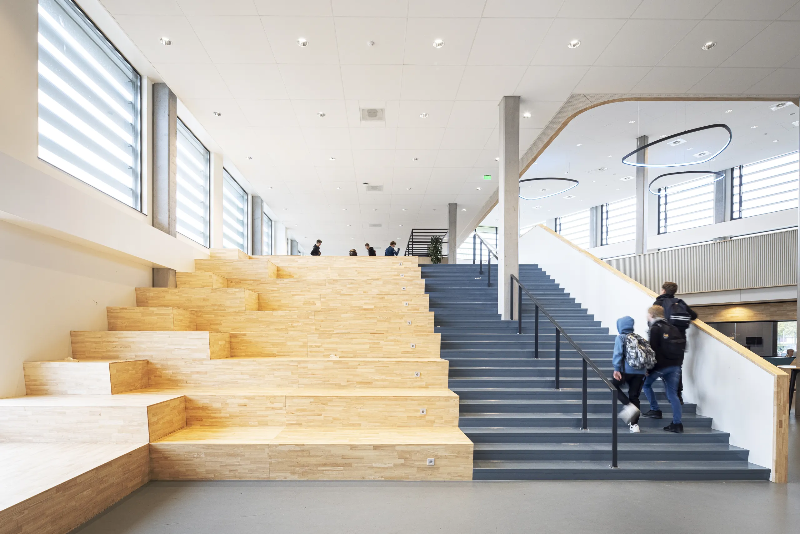 Private Office Acoustic Solutions| Rockfon