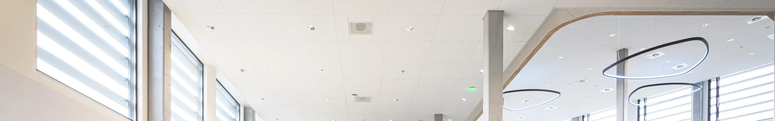 Office Circulation & Breakout Acoustics | Rockfon