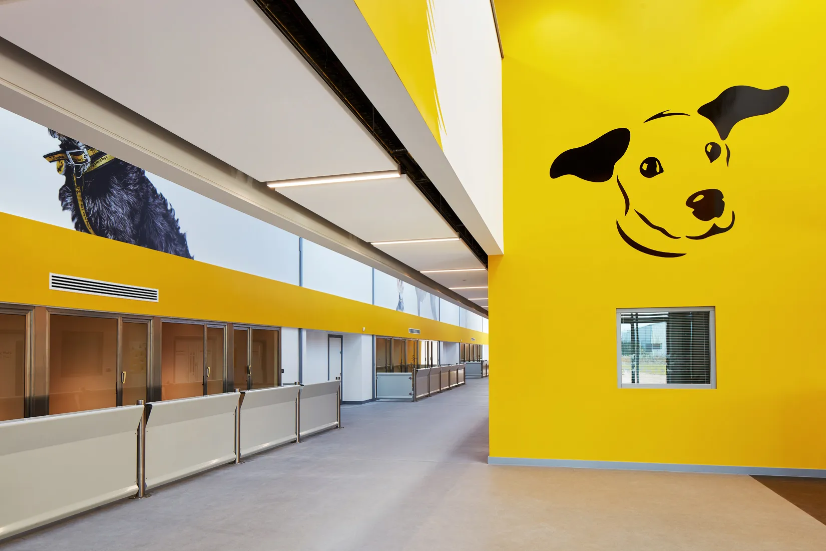Dogs Trust Cardiff Centre, Powell Dobson | Case Studies