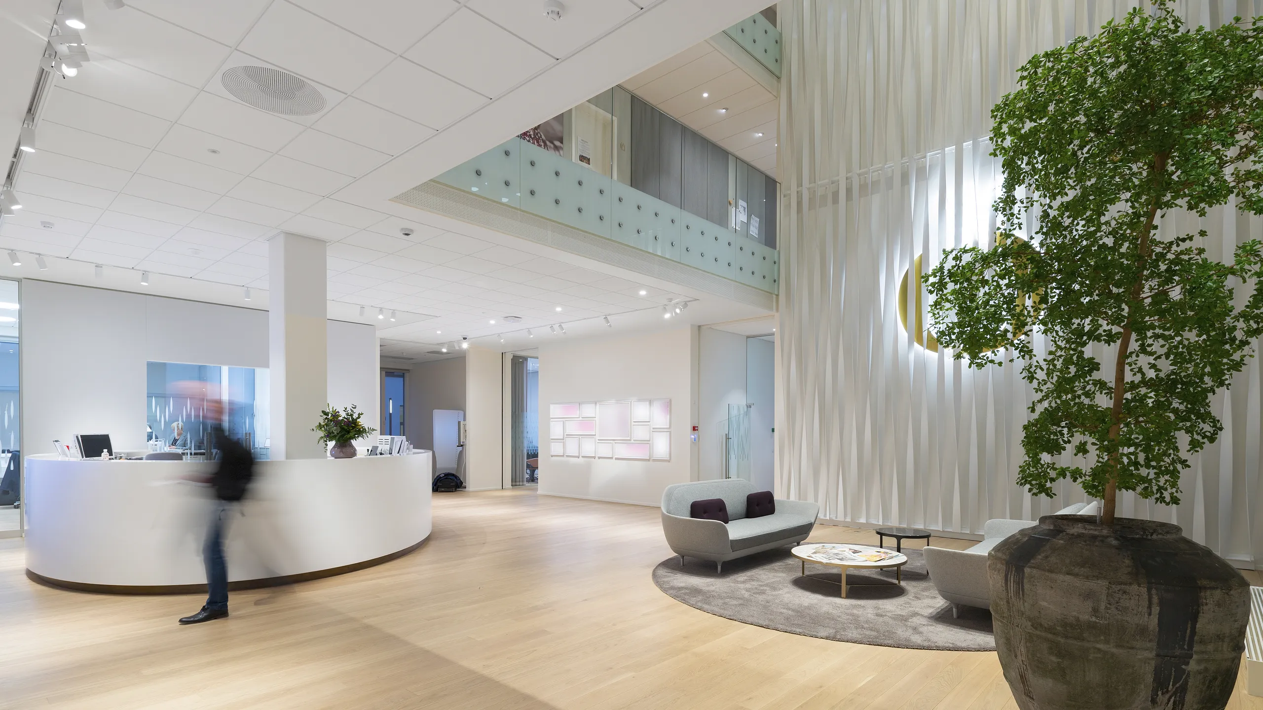 Modern office reception lobby with seating area, indoor tree, and a white acoustic tile ceiling with integrated lighting above the space.