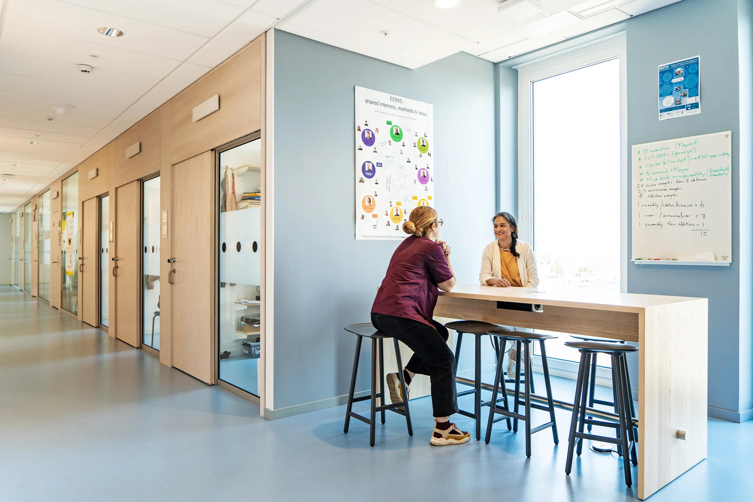 Linnaeus University corridors with Rockfon acoustic ceilings supporting visual harmony and sound absorption