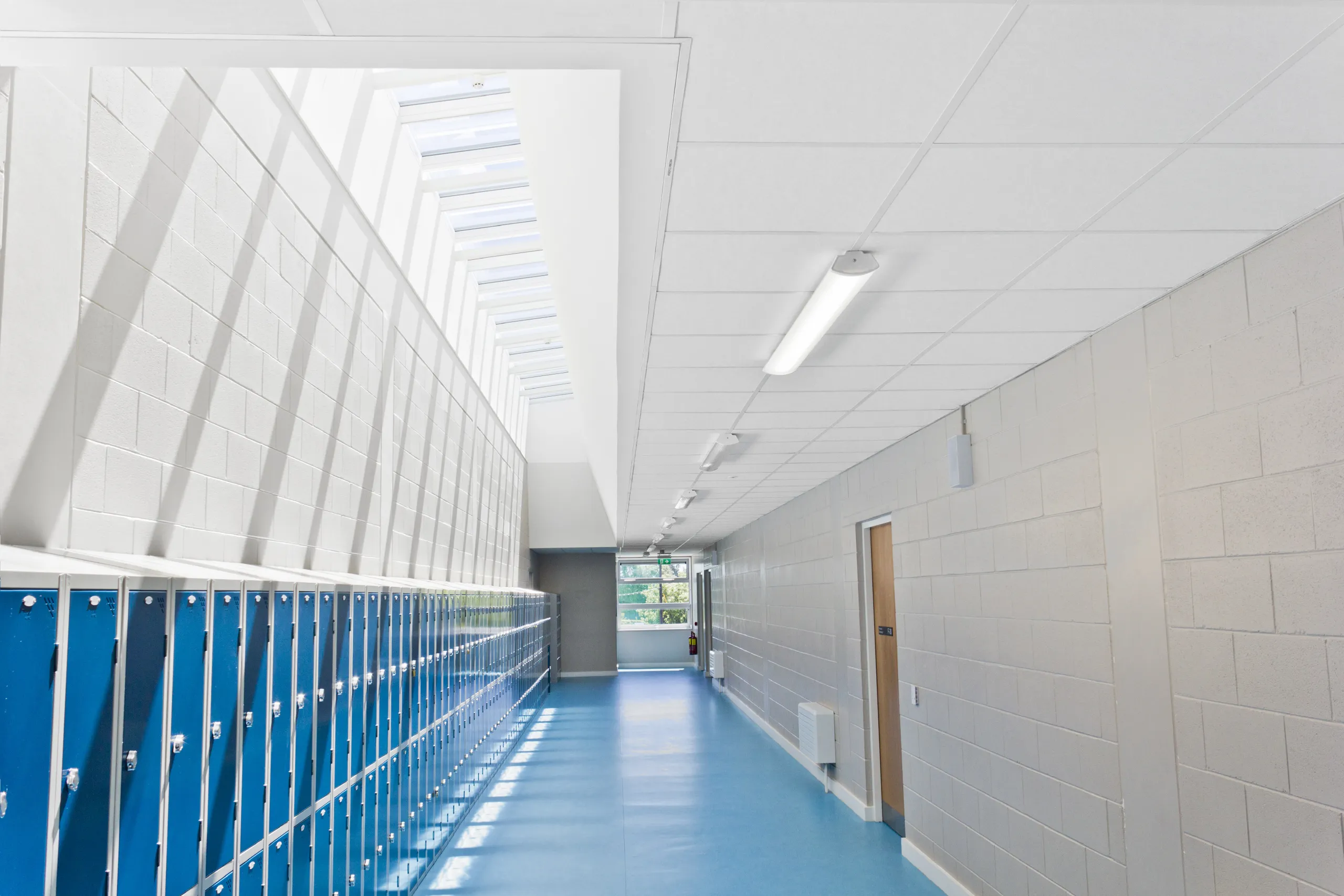 A Rockfon Chicago Metallic suspended ceiling grid.