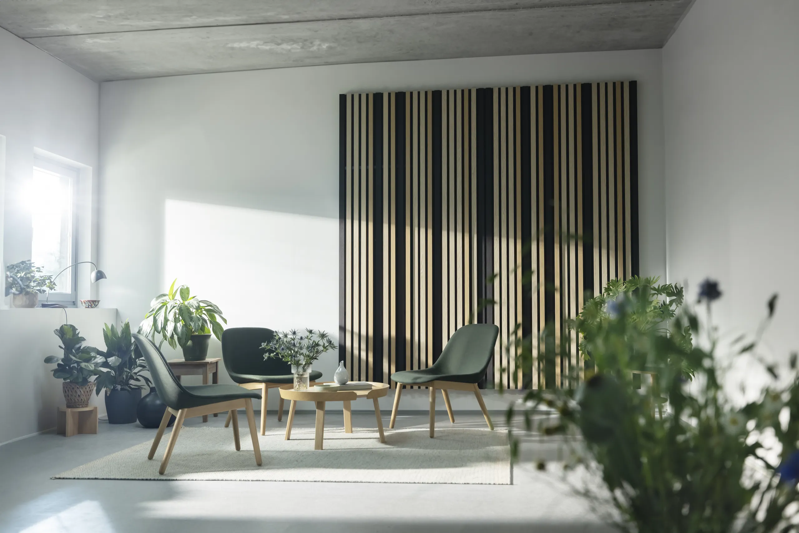 Detail view of Rockfon acoustic wall panels, floor screens, and hanging divider