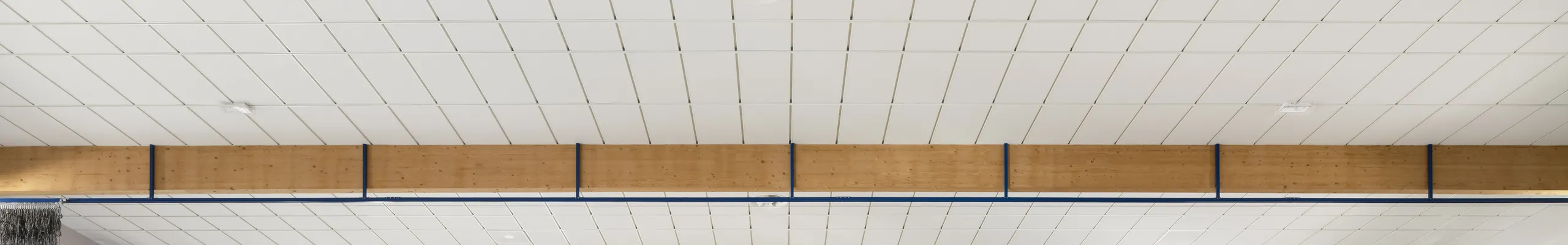 A spacious sports hall featuring acoustic ceiling tiles fitted between large timber beams, with natural light, blue-and-yellow court markings, and students playing volleyball.