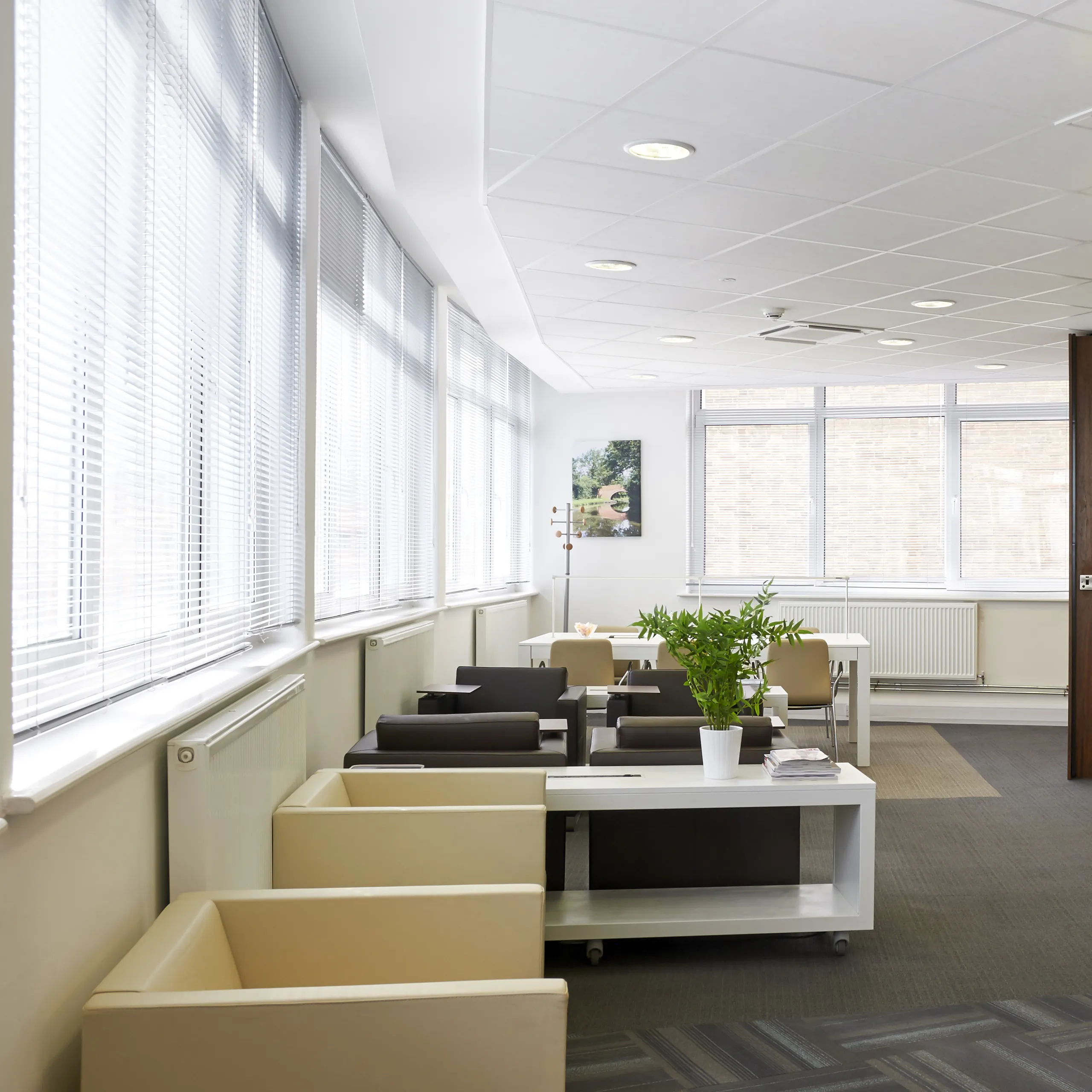 Rockfon® Artic | White Acoustic Ceiling Tiles