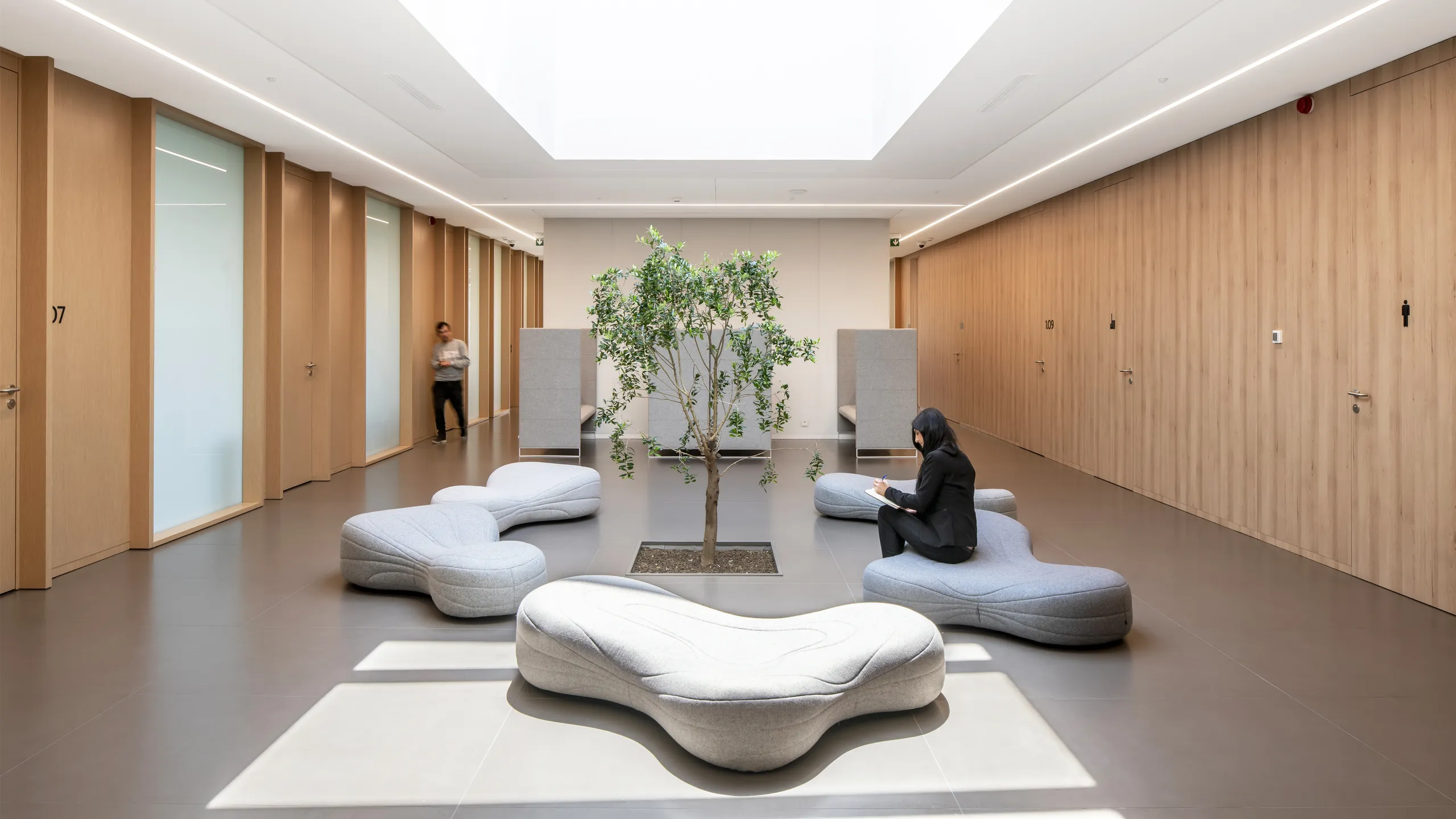 Minimalist interior with modern seamless white office ceiling, skylight, central tree, and curvy seating. Two people are in the space with light wood paneling and glass doors.