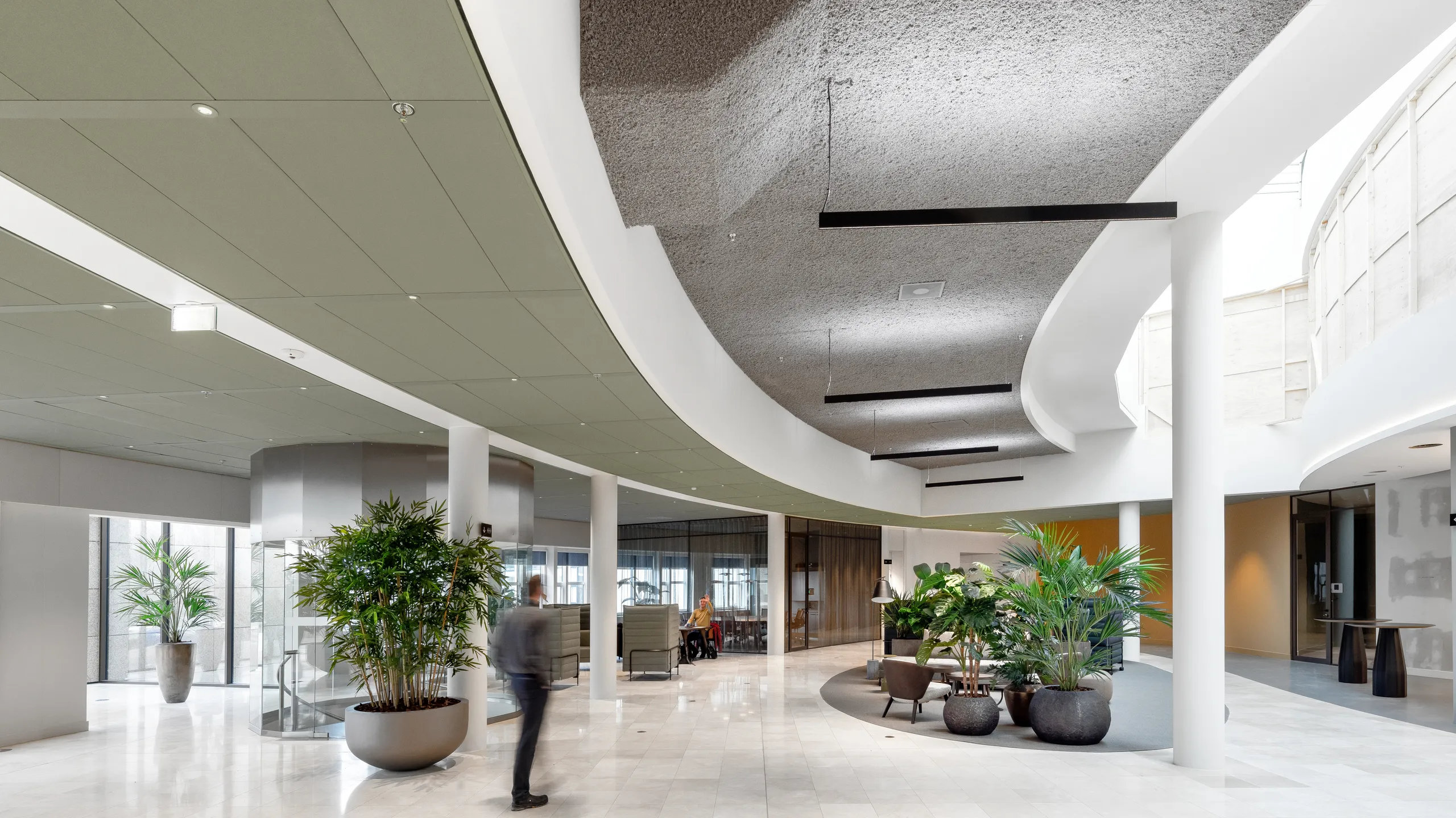Modern office interior with green ceiling design, potted plants, curved walls, a large tree, marble flooring, and a textured ceiling, creating an open, airy space.