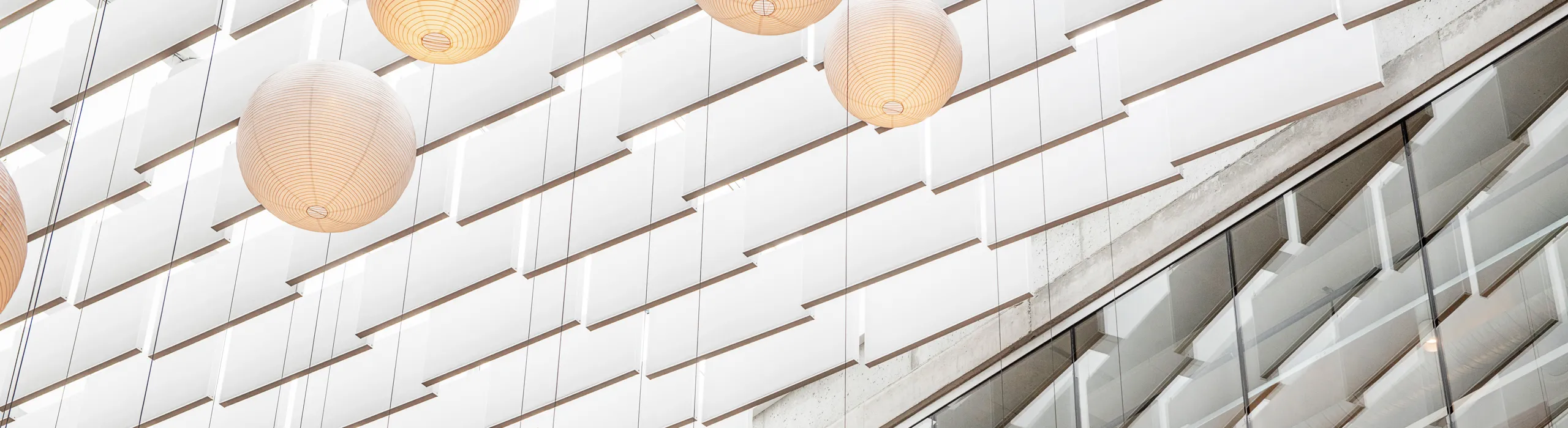 Acoustic Ceiling Baffles | Rockfon