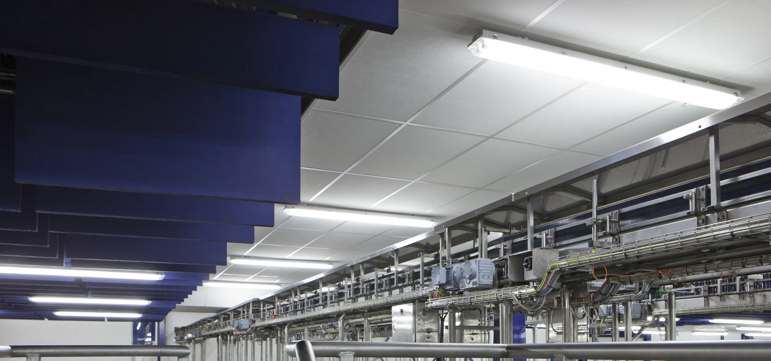An industrial processing hall with a suspended white acoustic ceiling grid and rows of bright linear lights above stainless-steel conveyor machinery. Deep blue vertical acoustic baffles hang along one side to control noise in the large metal-clad space.