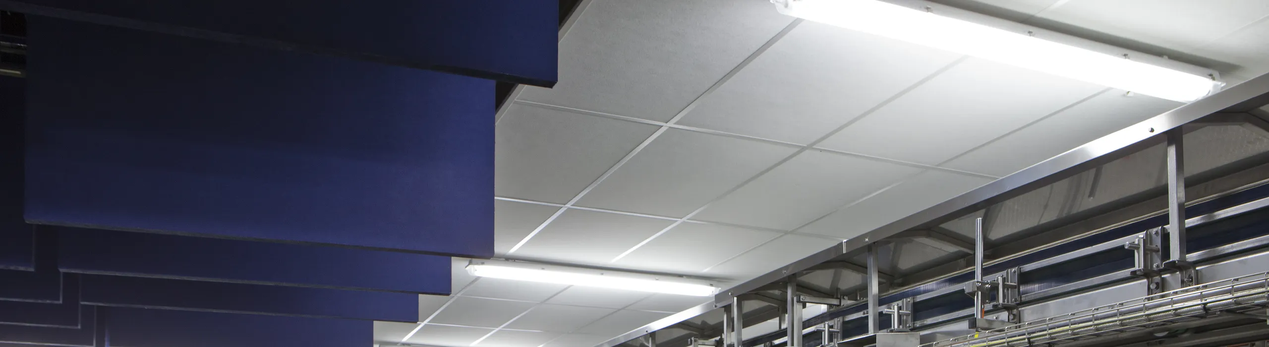 An industrial processing hall with a suspended white acoustic ceiling grid and rows of bright linear lights above stainless-steel conveyor machinery. Deep blue vertical acoustic baffles hang along one side to control noise in the large metal-clad space.